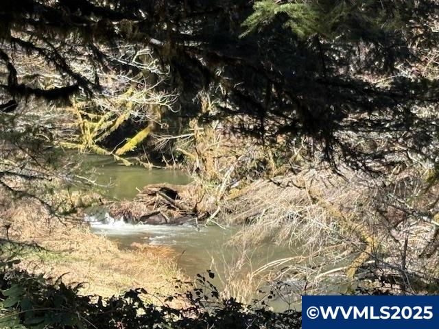 0 Logsden Road Blodgett, OR 97326 - Photo 15 of 24