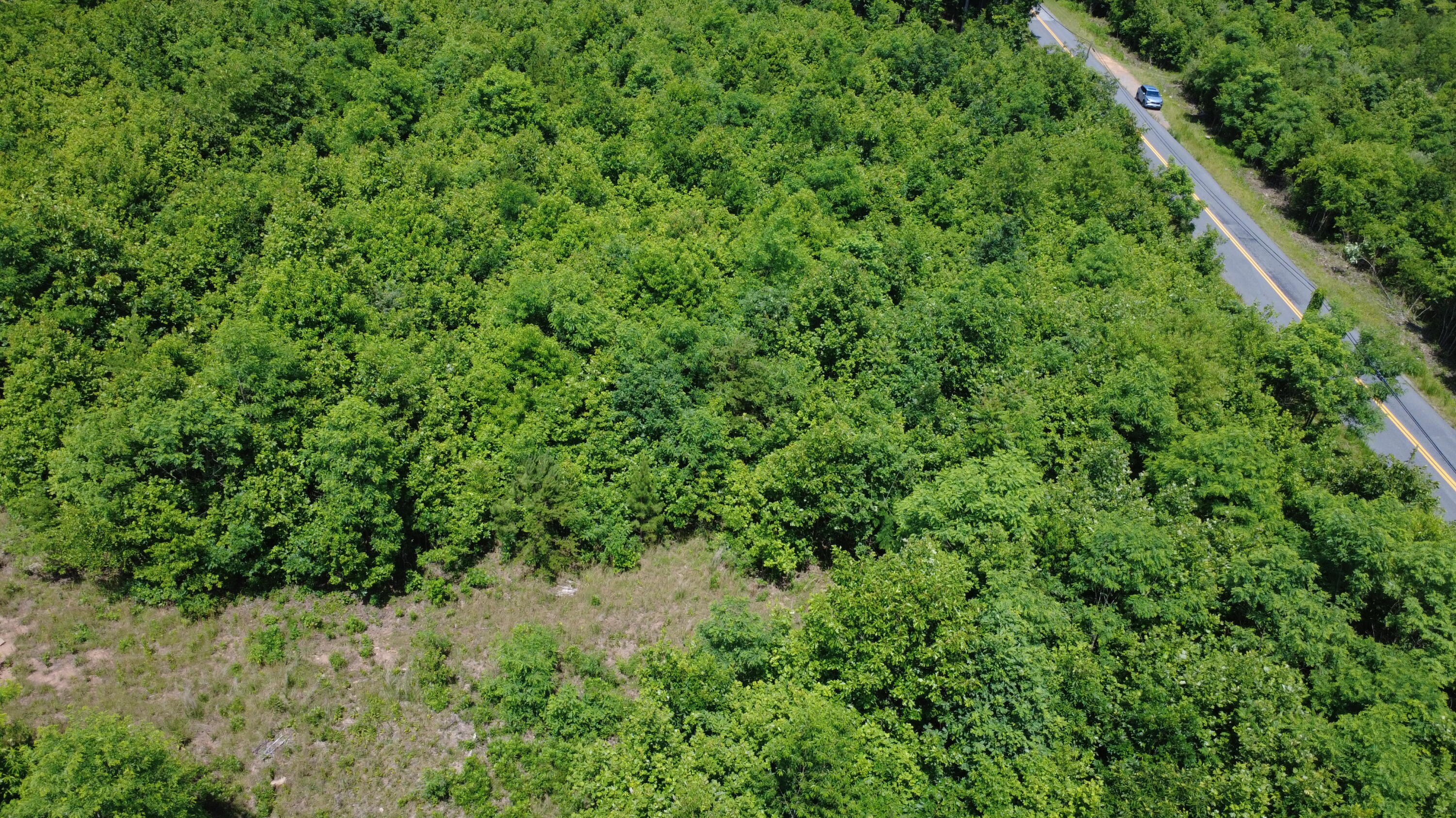 0 Craig Creek Road Eagle Rock, VA 24085 - Photo 14 of 25 a view of a lush green forest