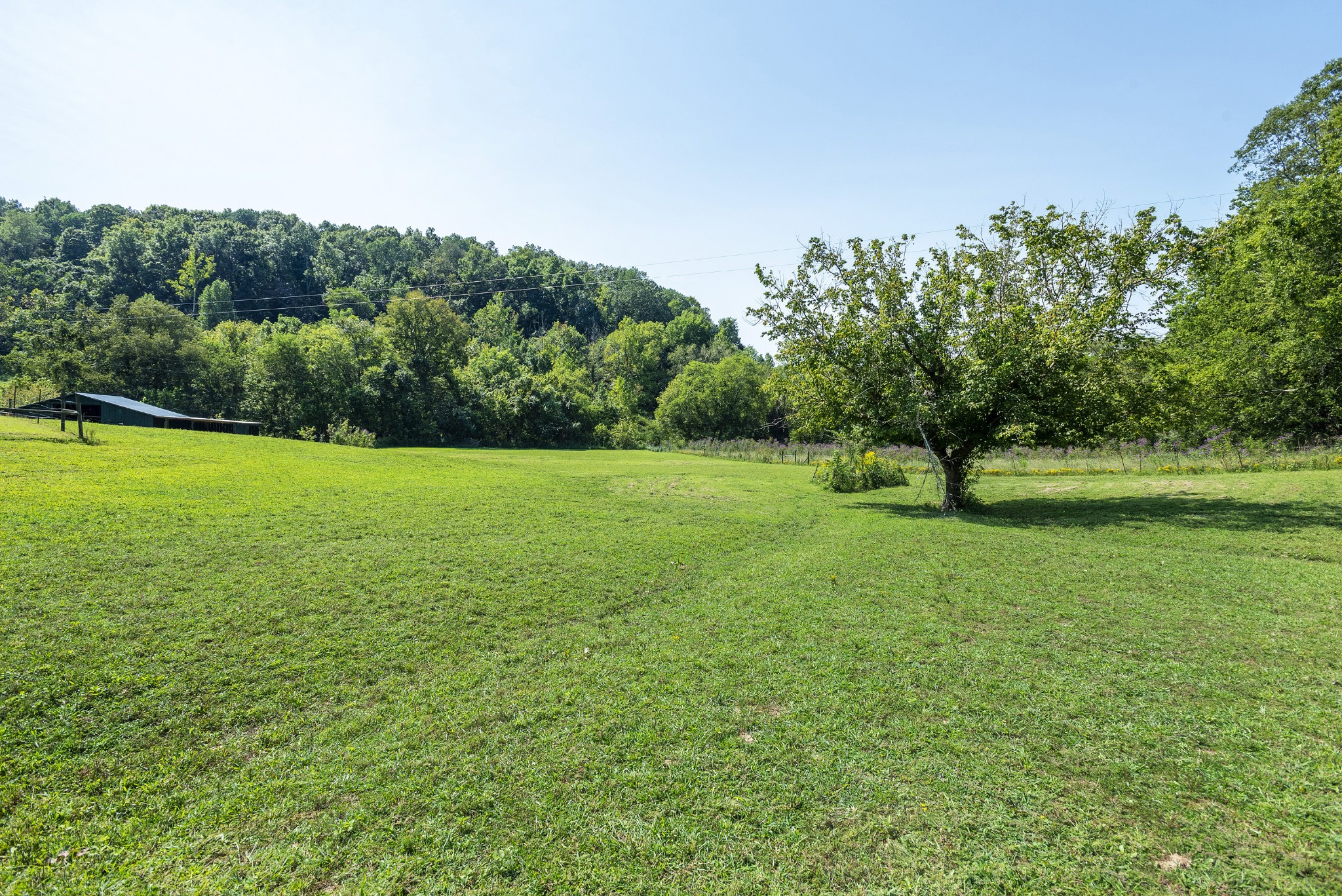 8571 Joy Road Mount Pleasant, TN 38474 - Photo 23 of 45 Gallery Image 23