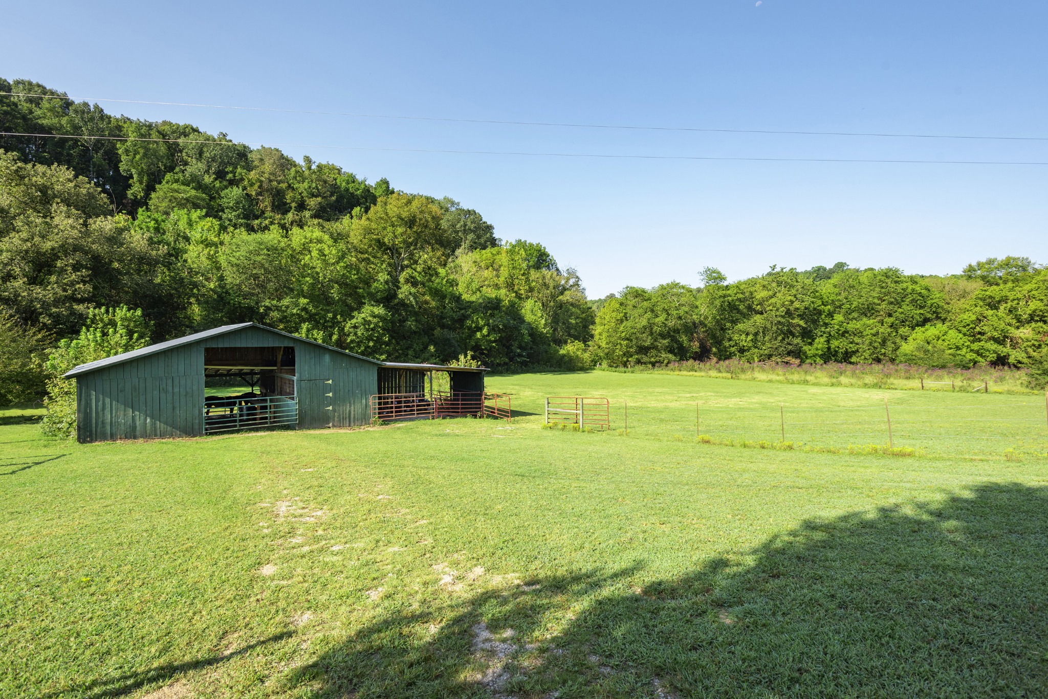 8571 Joy Road Mount Pleasant, TN 38474 - Photo 27 of 45 Gallery Image 27