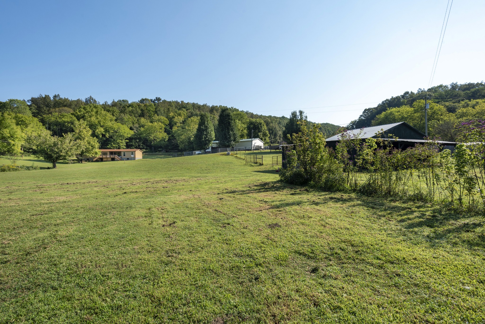 8571 Joy Road Mount Pleasant, TN 38474 - Photo 29 of 45 Gallery Image 29