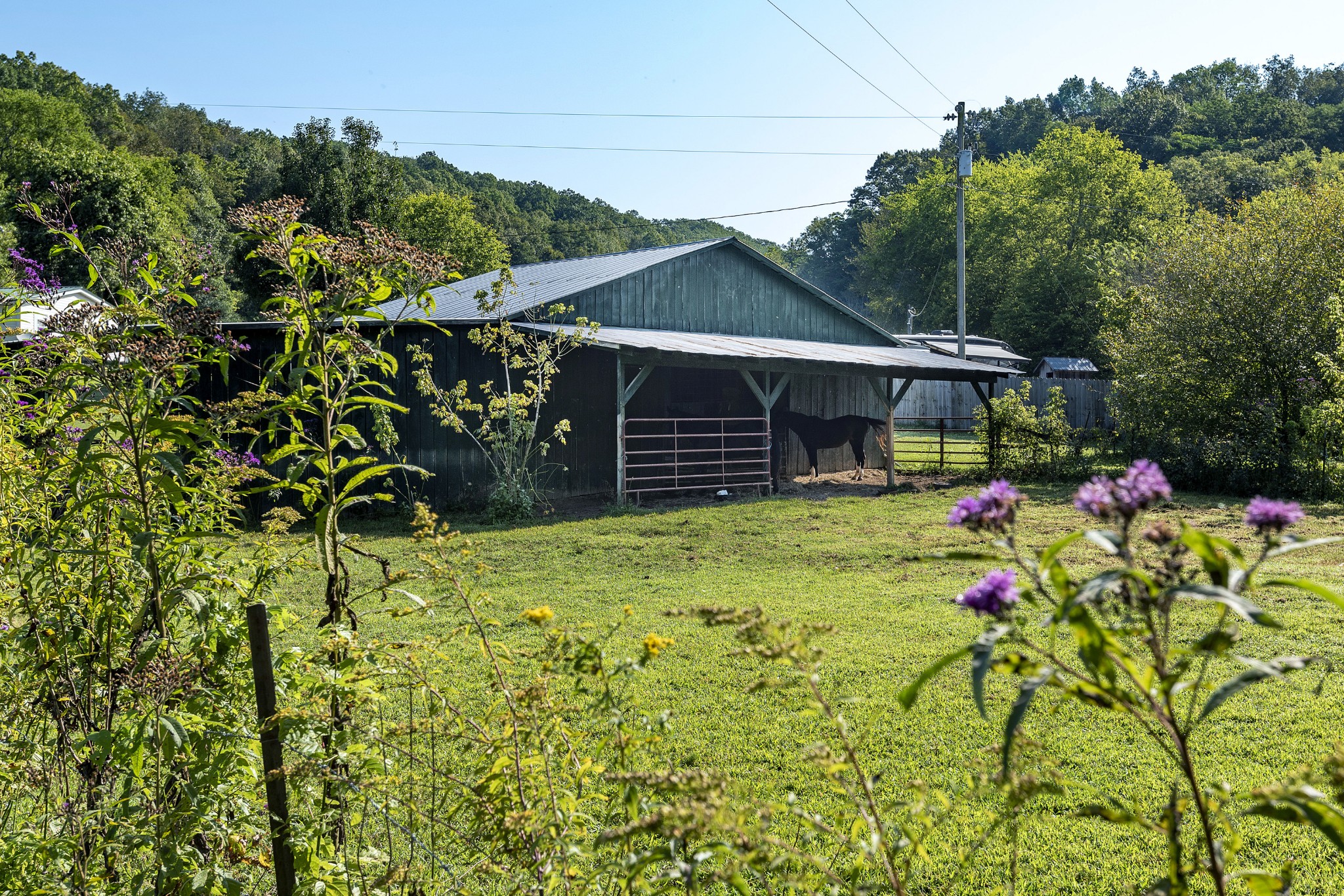 8571 Joy Road Mount Pleasant, TN 38474 - Photo 30 of 45 Gallery Image 30