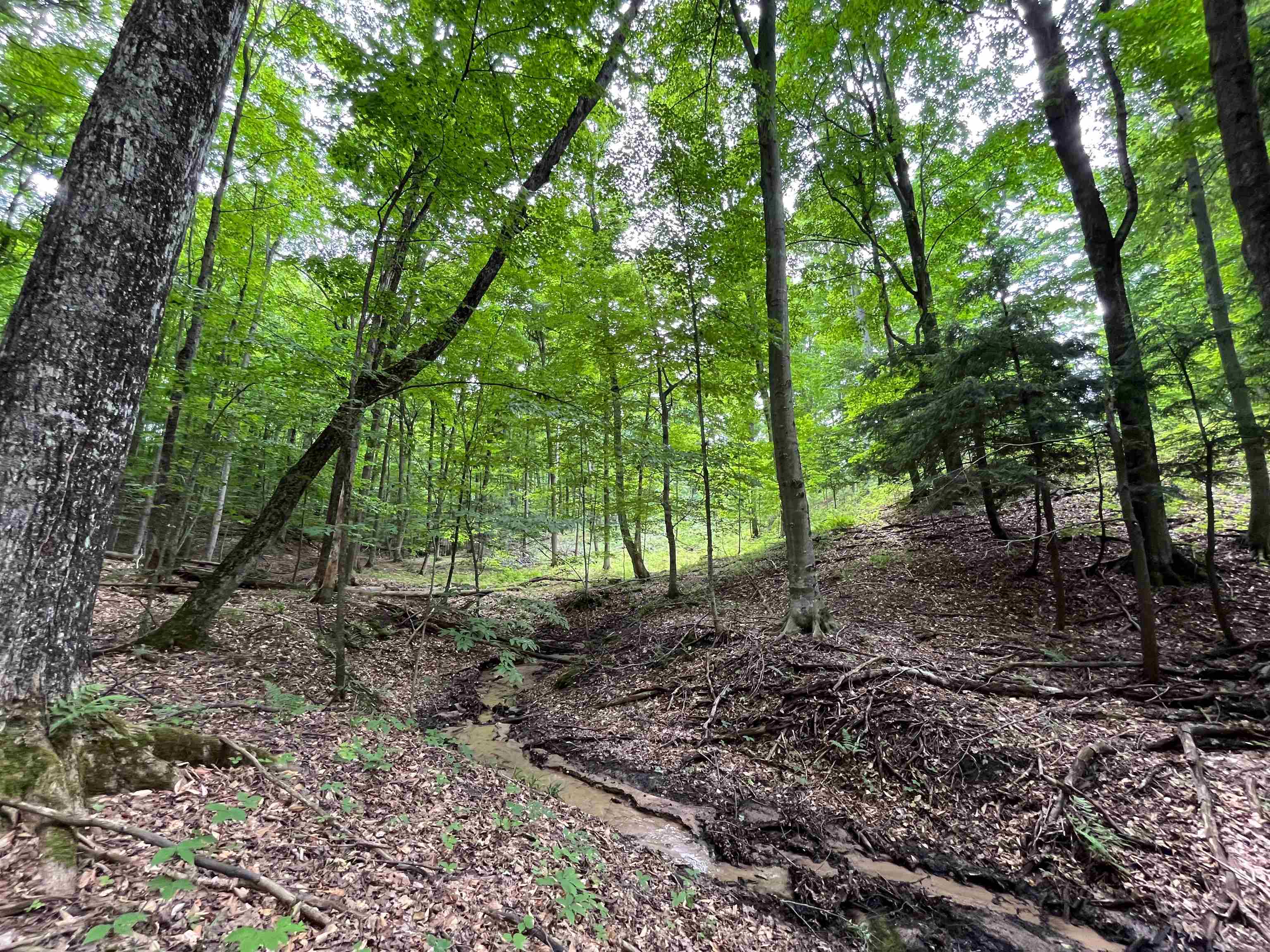 East Fouch Road Traverse City, MI 49684 - Photo 25 of 40 Gallery Image 25
