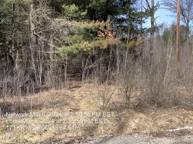 0 East Timreck Road, Unit PARCEL C Tawas City, MI 48763 - Photo 5 of 6