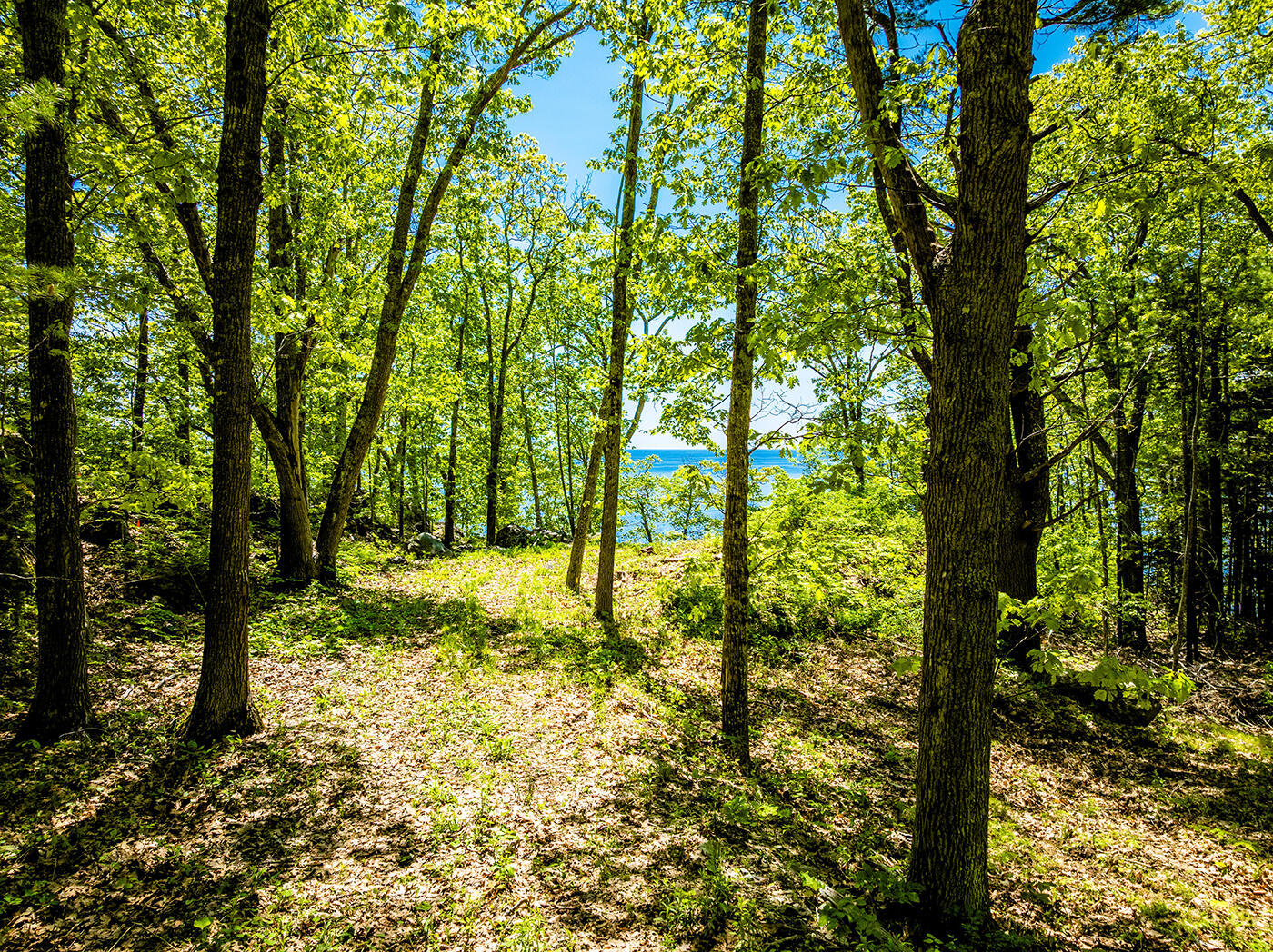 0 Dearborn Lane Rockport, ME 04856 - Photo 11 of 13 DJI_0218