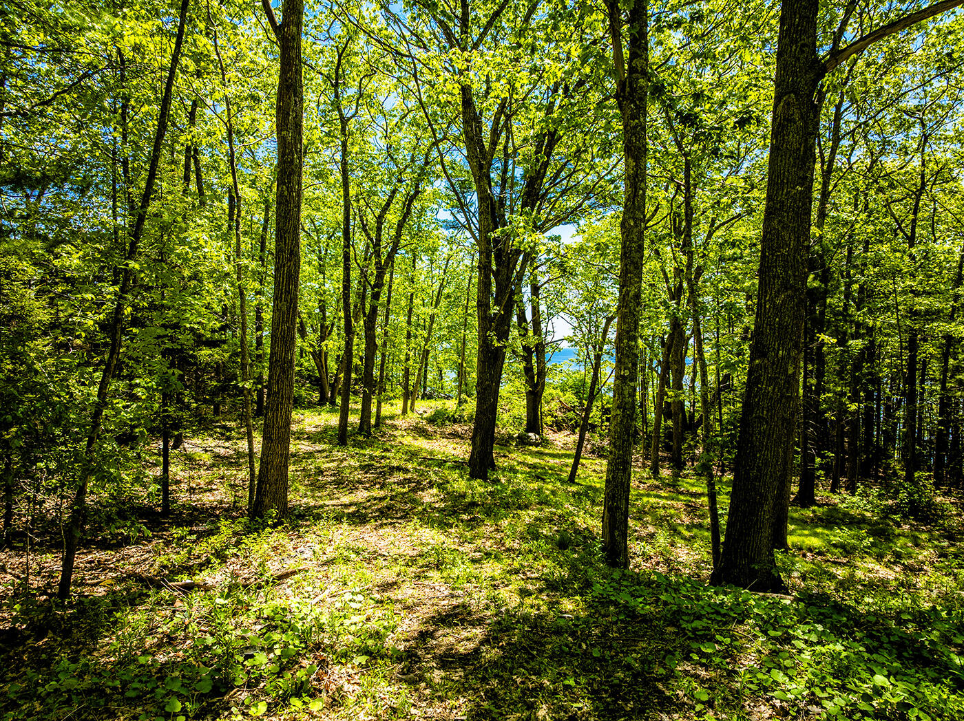 0 Dearborn Lane Rockport, ME 04856 - Photo 12 of 13 DJI_0219