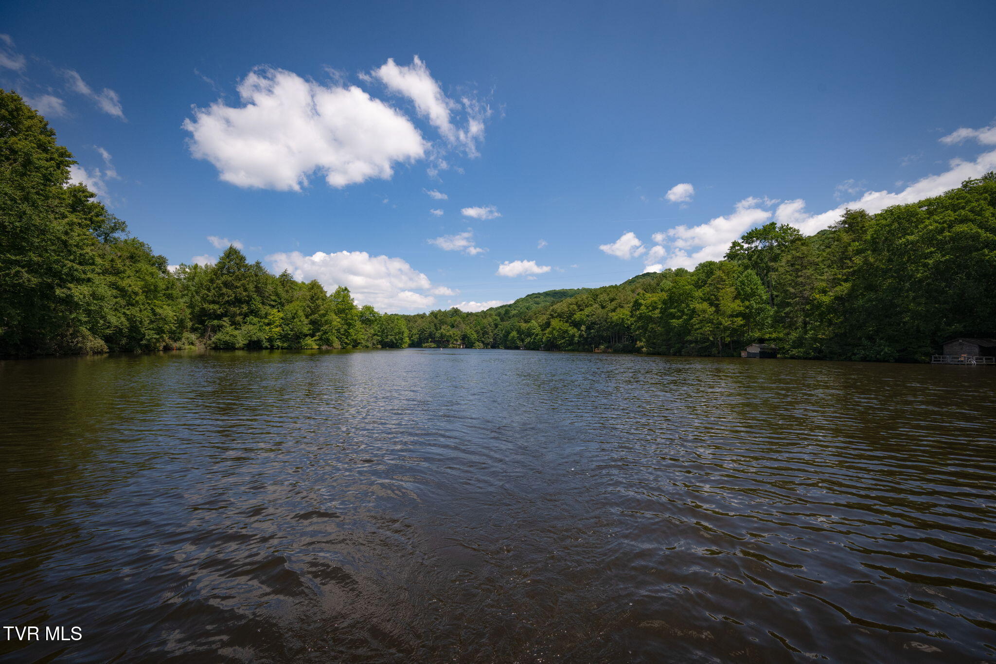 1776 Ripshin Mountain Road, Unit 56 Roan Mountain, TN 37687 - Photo 51 of 61 43-web-or-mls-EXT_5751