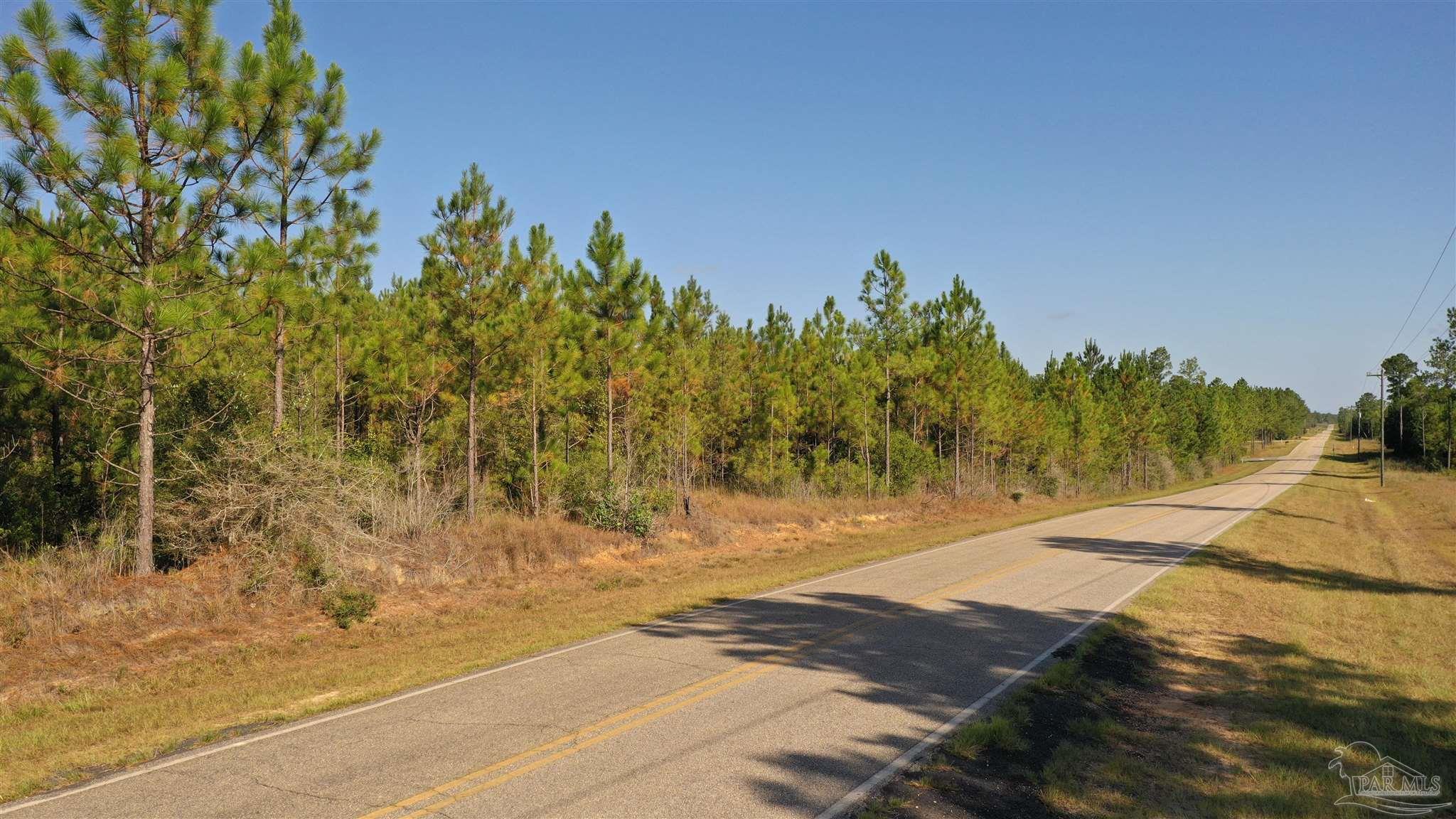 Lot 5-23799 Lonnie Hadley Road Perdido, AL 36562 - Photo 13 of 21