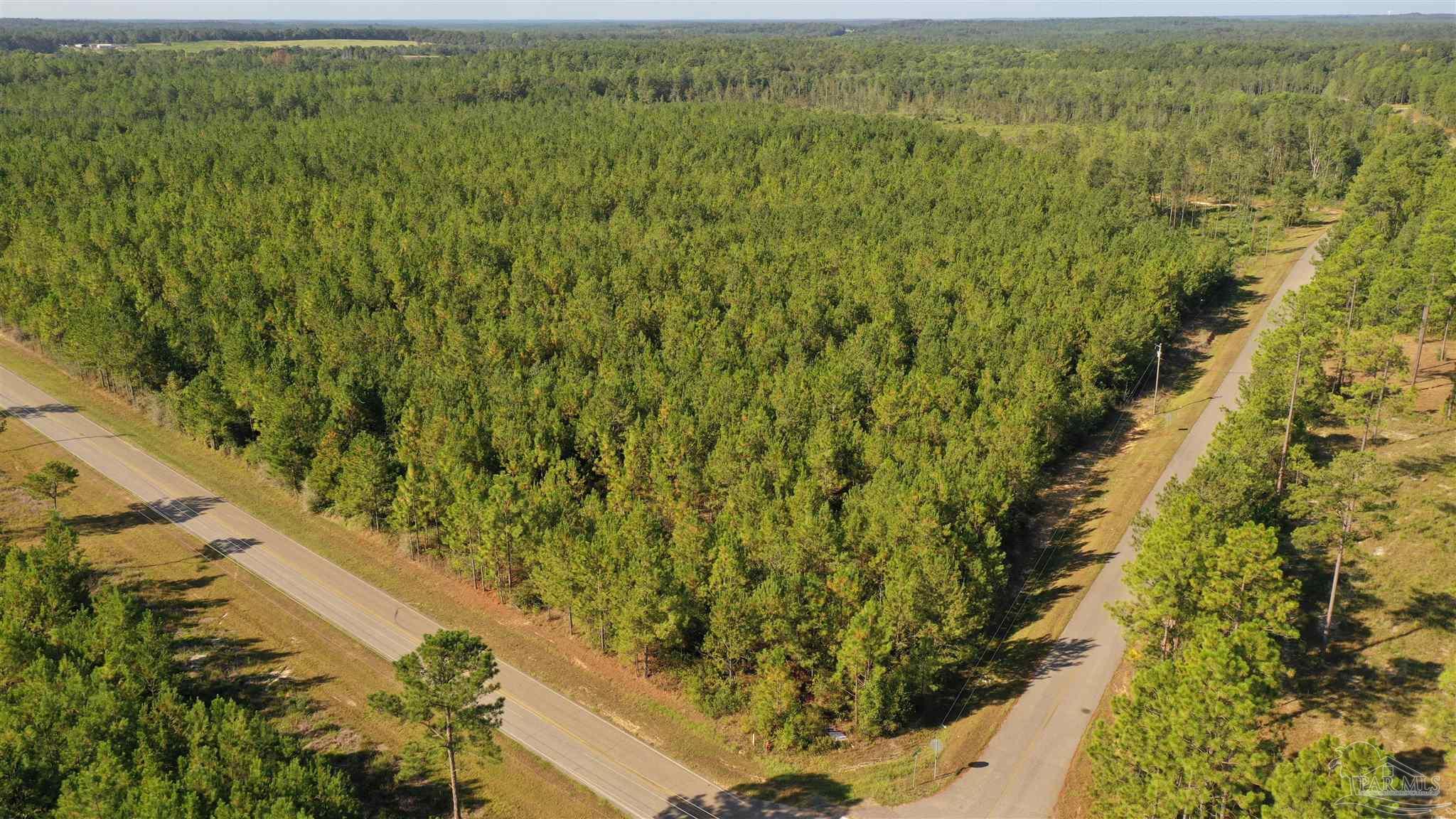 Lot 5-23799 Lonnie Hadley Road Perdido, AL 36562 - Photo 14 of 21