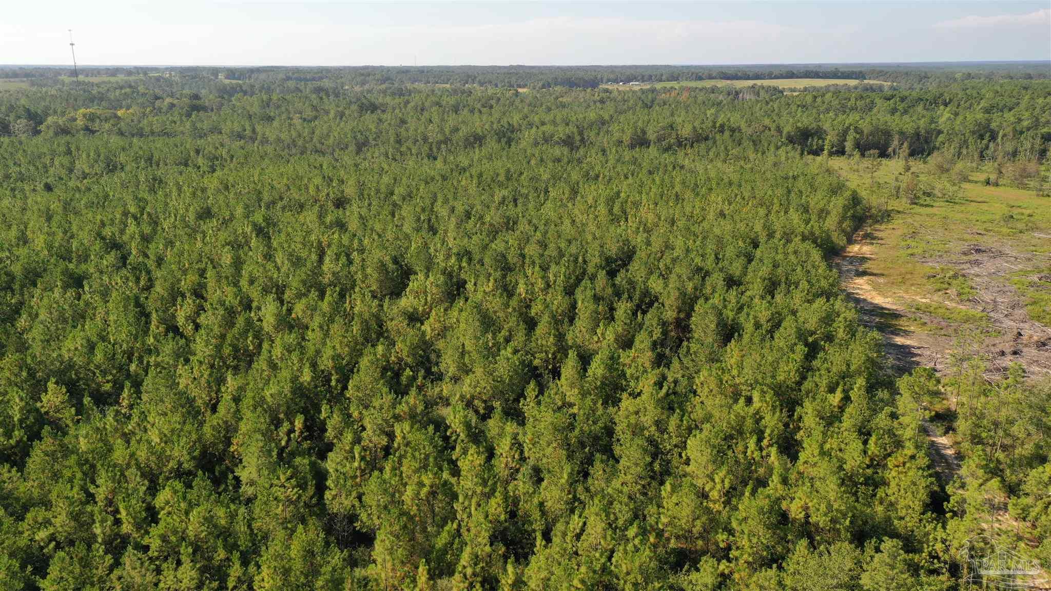 Lot 5-23799 Lonnie Hadley Road Perdido, AL 36562 - Photo 15 of 21