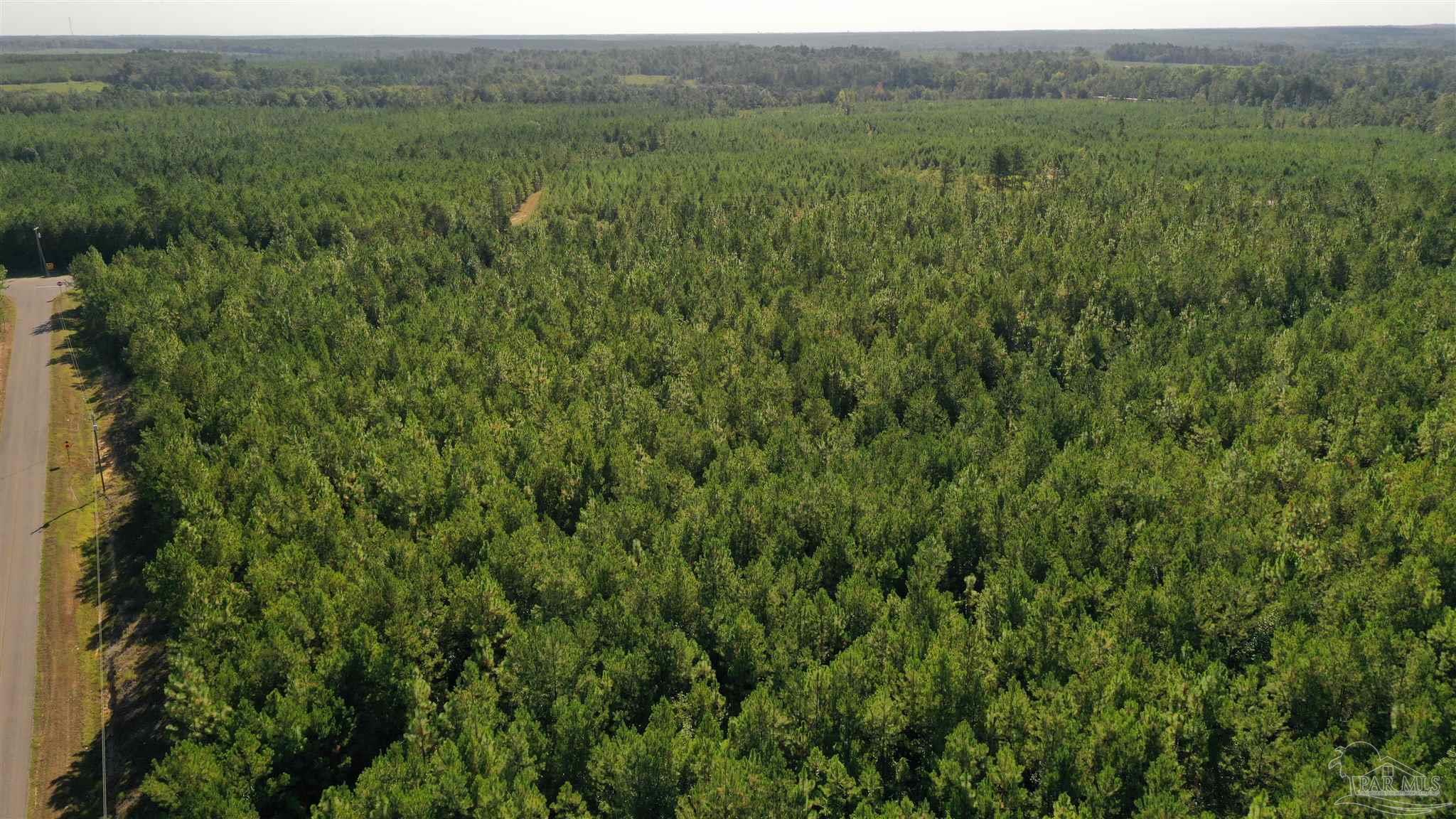 Lot 5-23799 Lonnie Hadley Road Perdido, AL 36562 - Photo 16 of 21