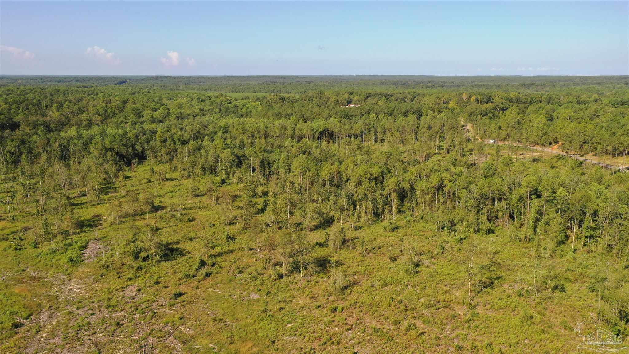 Lot 5-23799 Lonnie Hadley Road Perdido, AL 36562 - Photo 17 of 21