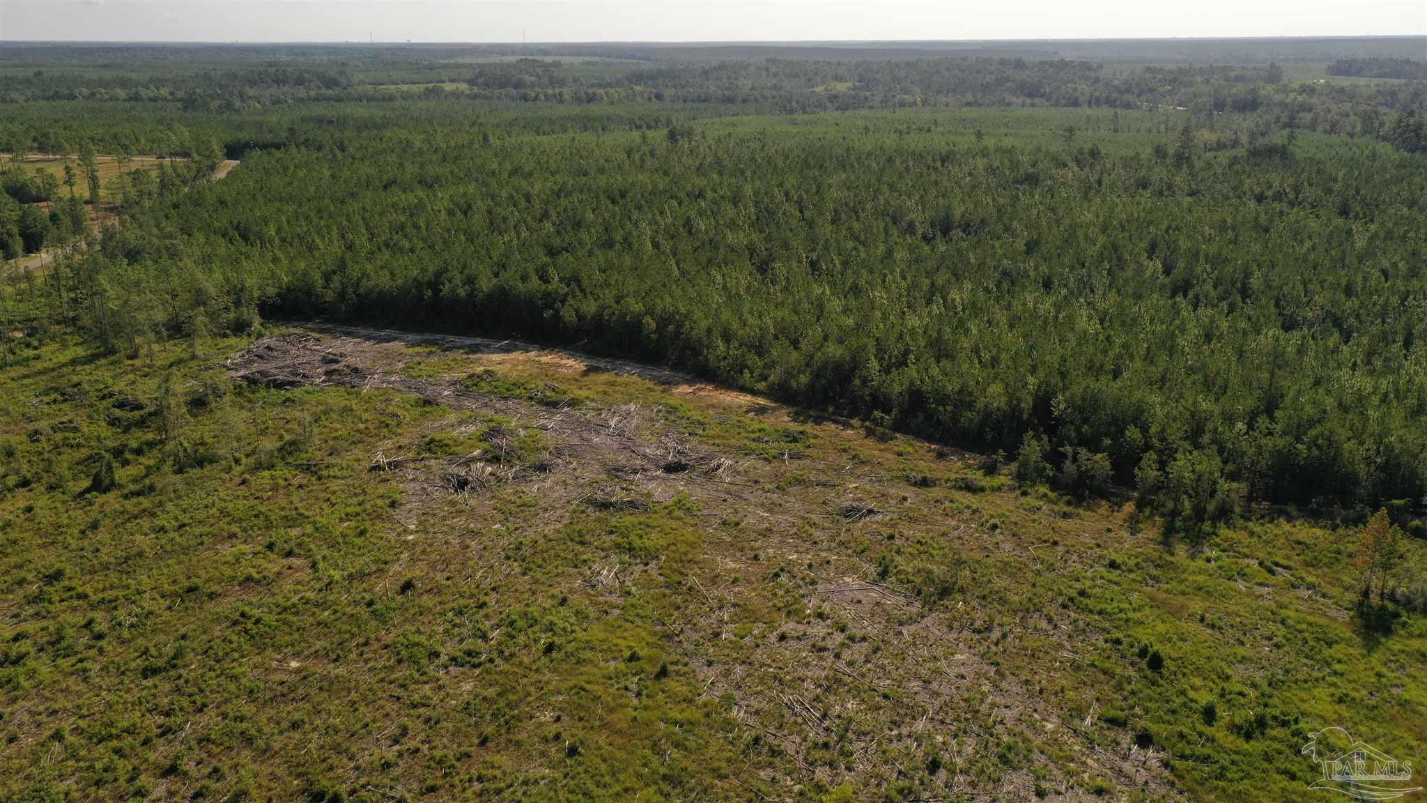Lot 5-23799 Lonnie Hadley Road Perdido, AL 36562 - Photo 18 of 21