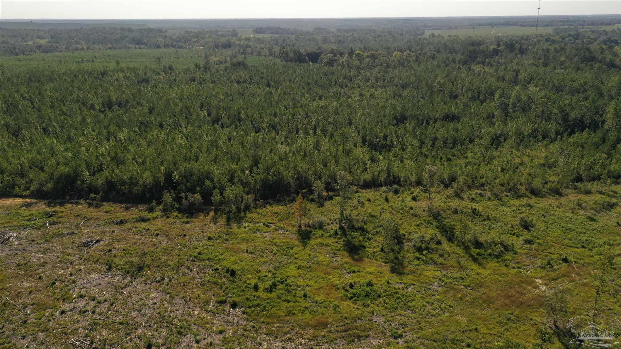 Lot 5-23799 Lonnie Hadley Road Perdido, AL 36562 - Photo 19 of 21