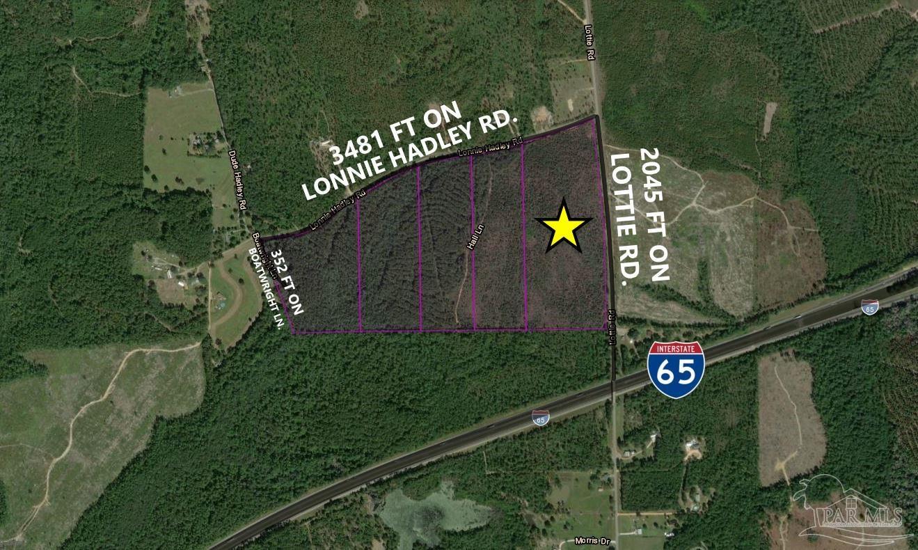 Lot 5-23799 Lonnie Hadley Road Perdido, AL 36562 - Photo 2 of 21