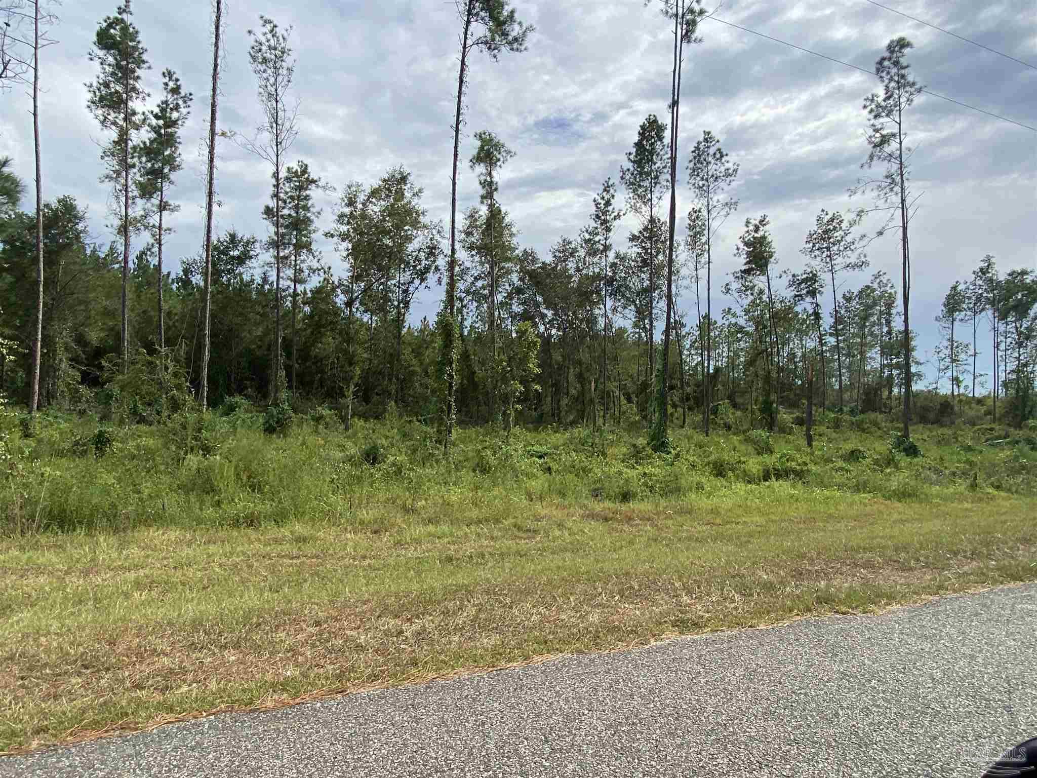 Lot 5-23799 Lonnie Hadley Road Perdido, AL 36562 - Photo 4 of 21