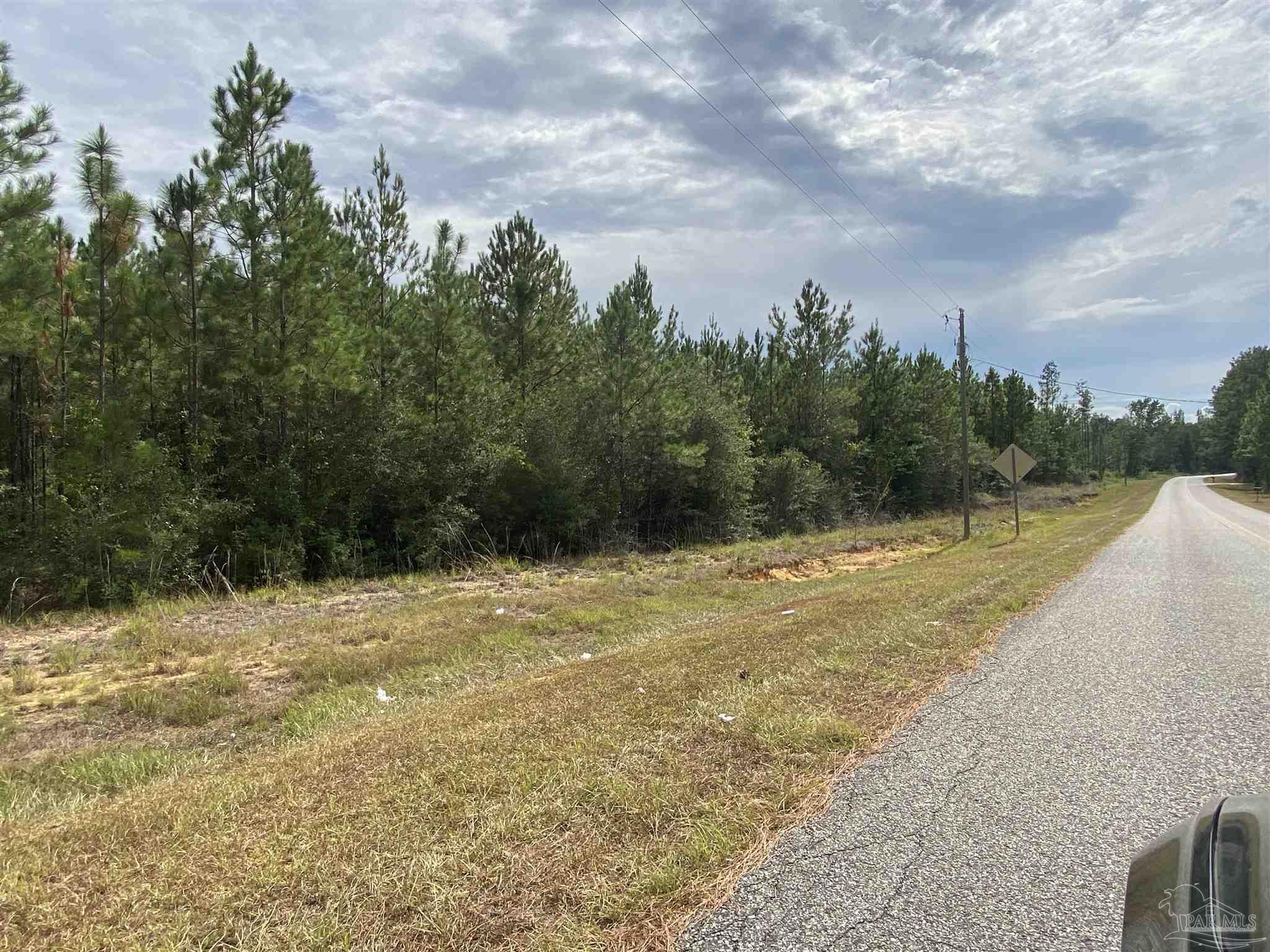 Lot 5-23799 Lonnie Hadley Road Perdido, AL 36562 - Photo 5 of 21