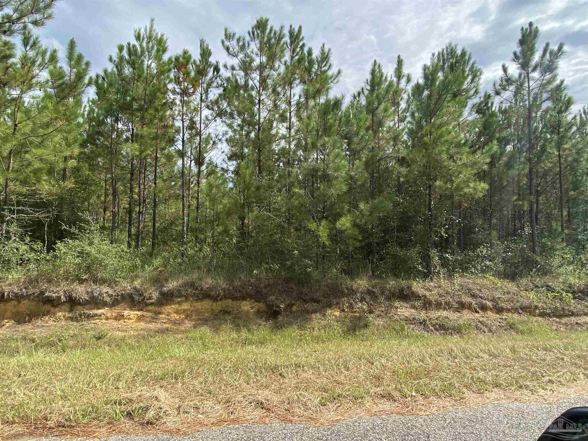 Lot 5-23799 Lonnie Hadley Road Perdido, AL 36562 - Photo 6 of 21