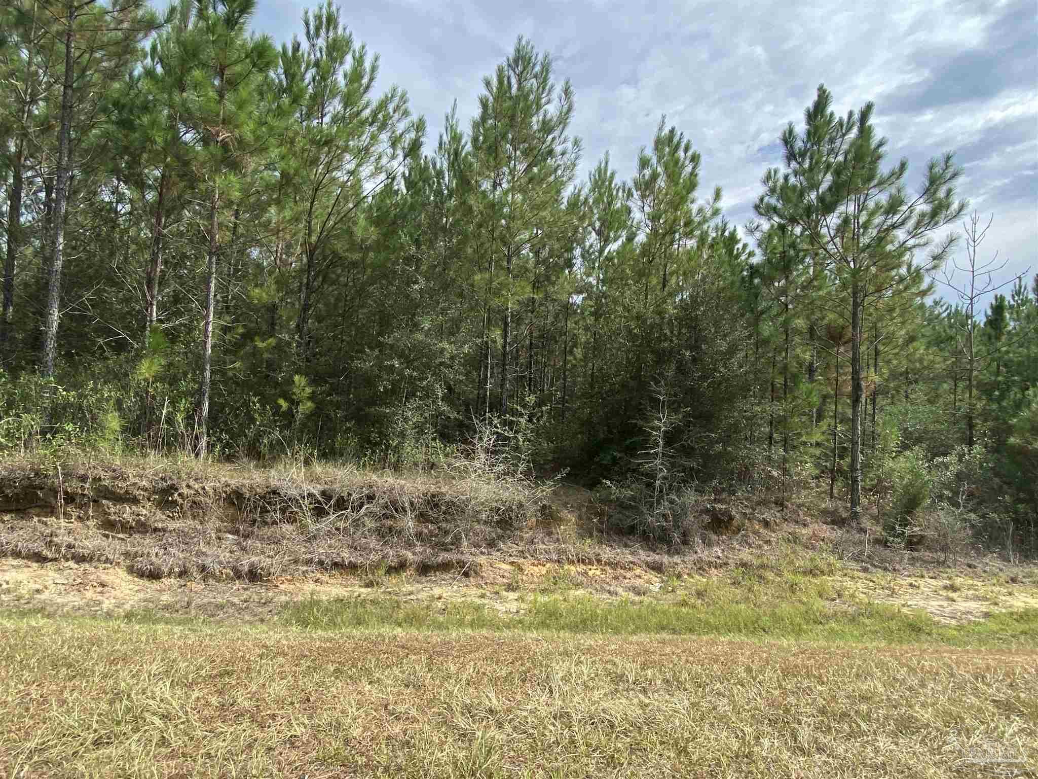 Lot 5-23799 Lonnie Hadley Road Perdido, AL 36562 - Photo 7 of 21