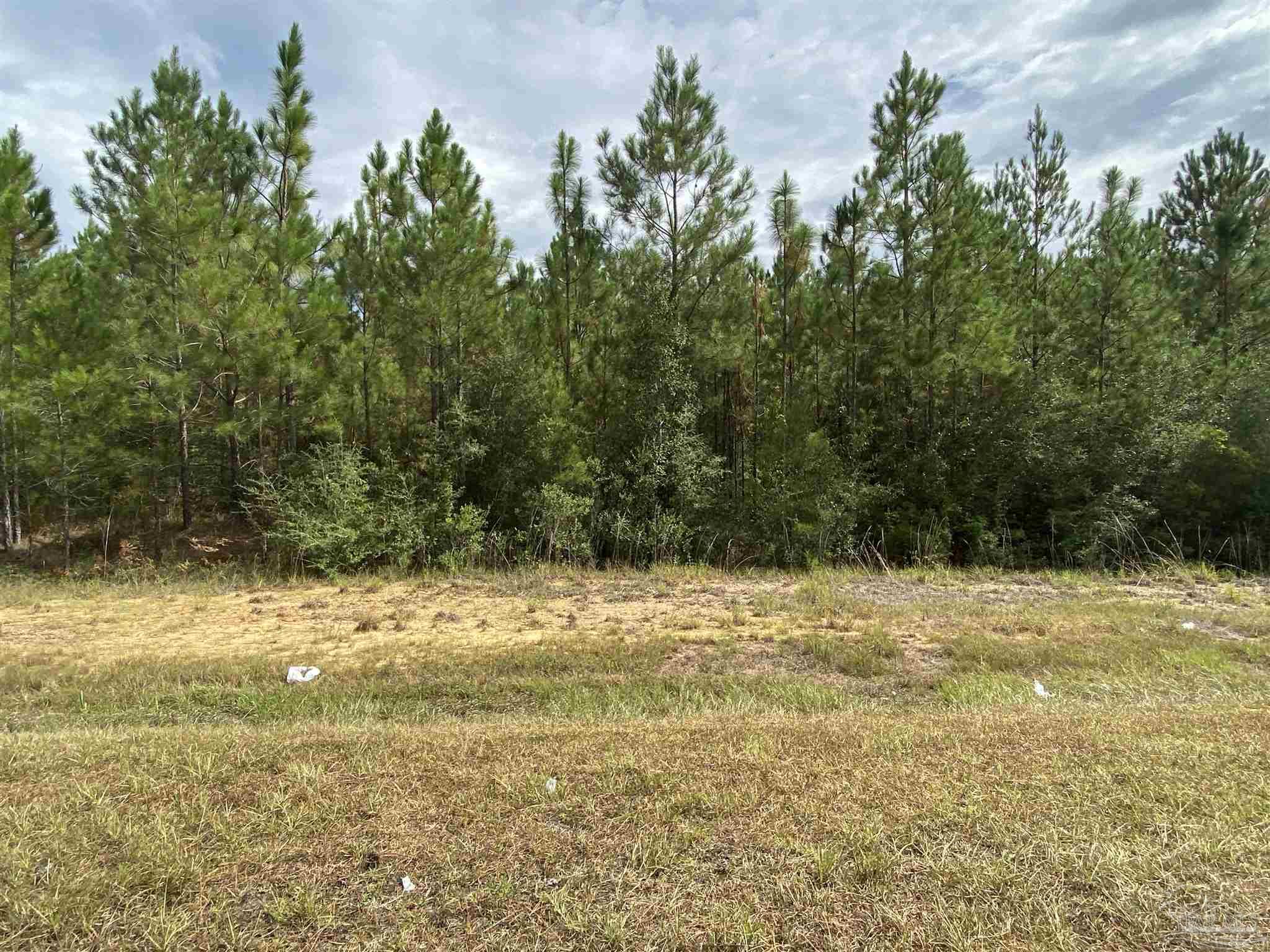 Lot 5-23799 Lonnie Hadley Road Perdido, AL 36562 - Photo 8 of 21