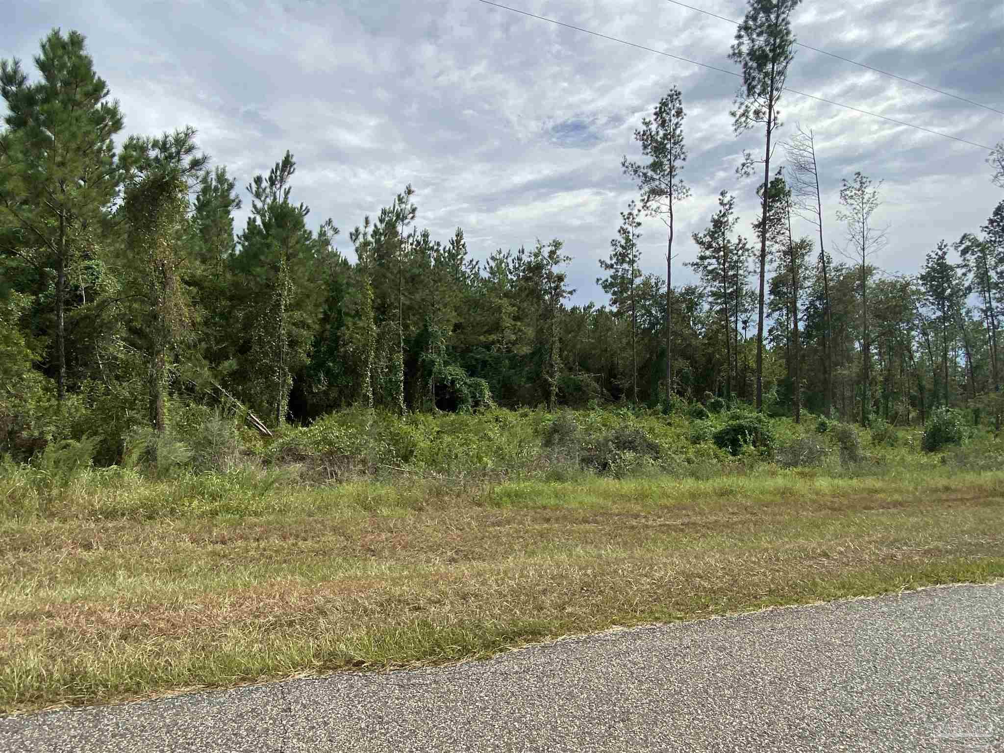 Lot 5-23799 Lonnie Hadley Road Perdido, AL 36562 - Photo 9 of 21
