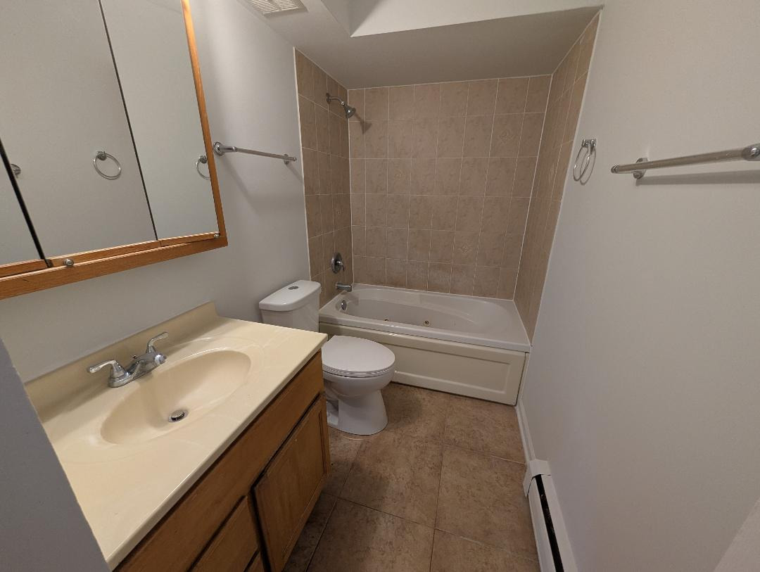 6005 Marshall Avenue, Unit 8 Chicago Ridge, IL 60415 - Photo 9 of 11