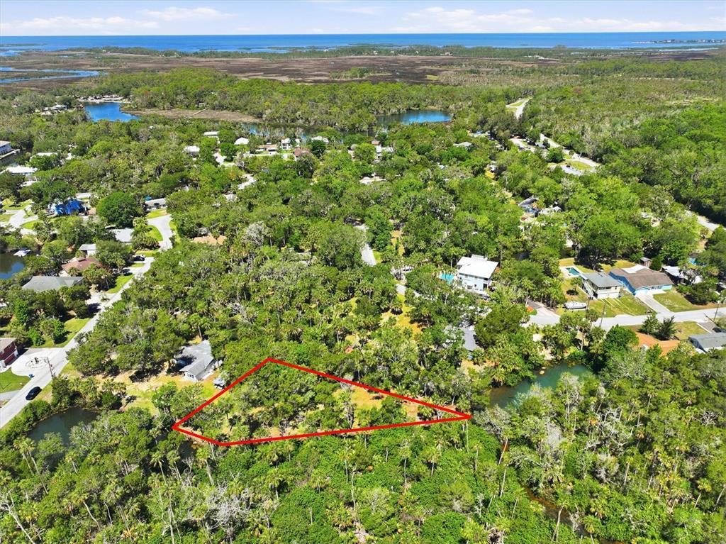 6248 Colony Circle Weeki Wachee, FL 34607 - Photo 15 of 20