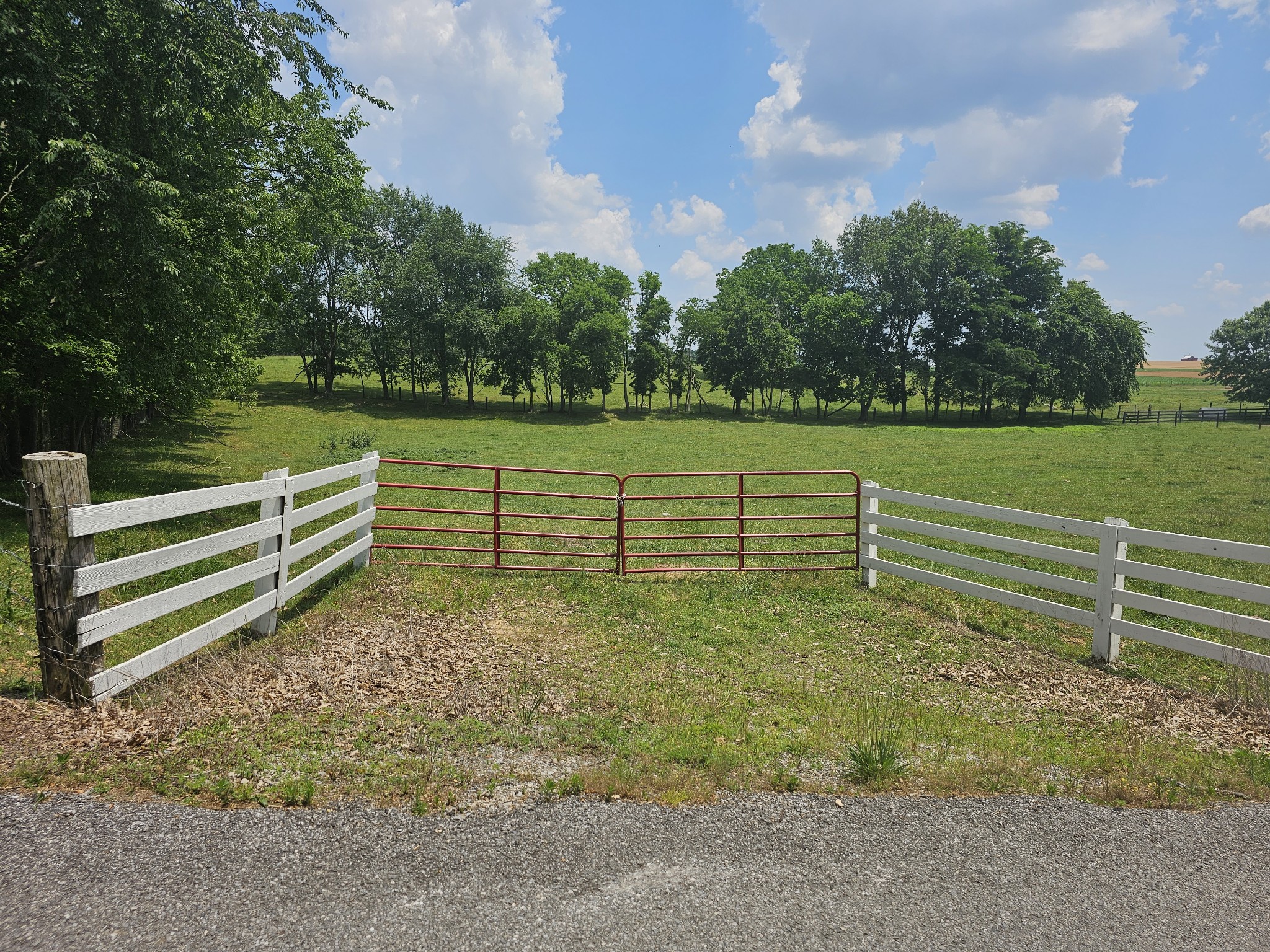 6027 Fulton Road Springfield, TN 37172 - Photo 1 of 1 a view of a yard with wooden fence