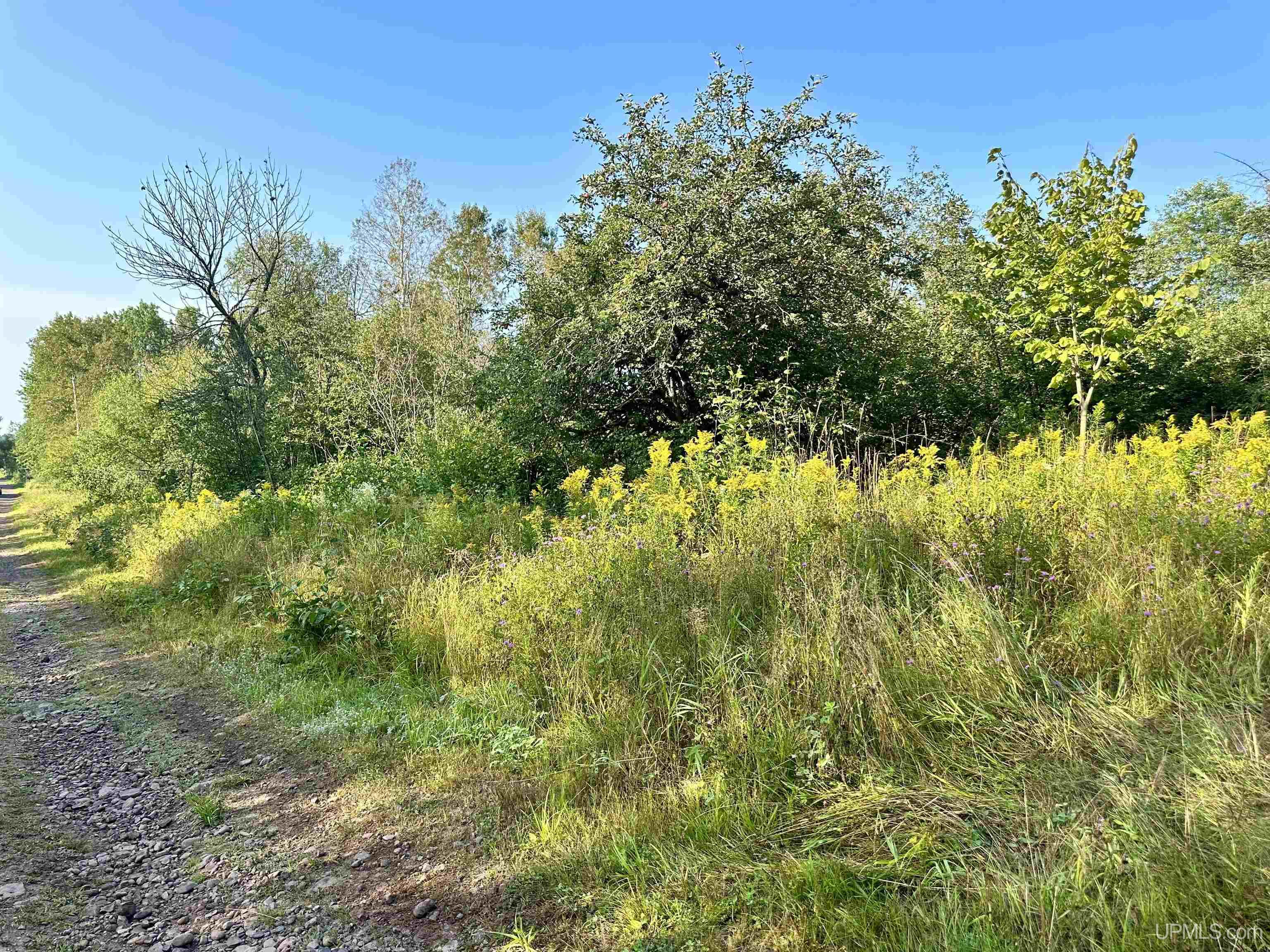 Tbd Crestview Road Ironwood, MI 49938 - Photo 4 of 49