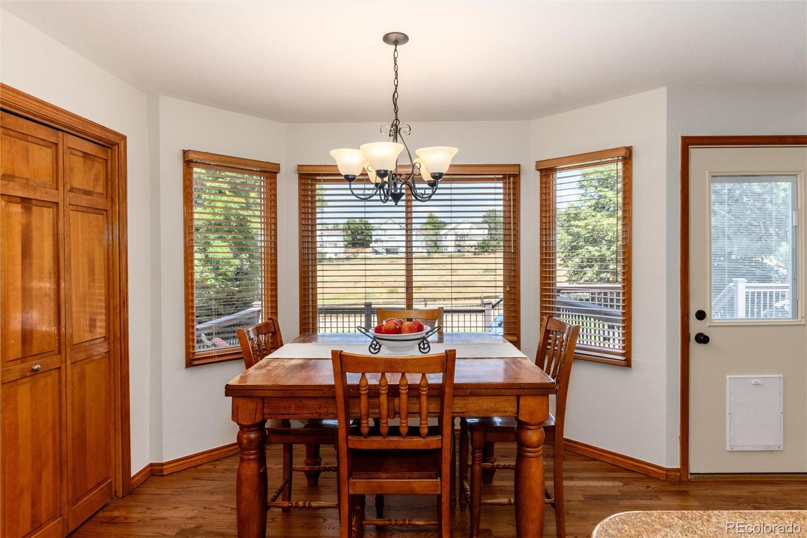 9808 South Isabel Court Highlands Ranch, CO 80126 - Photo 11 of 43