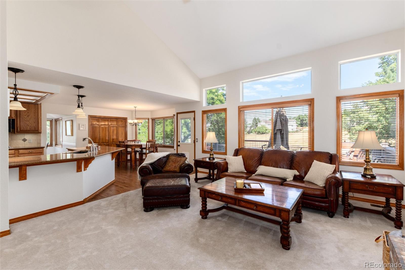 9808 South Isabel Court Highlands Ranch, CO 80126 - Photo 13 of 43