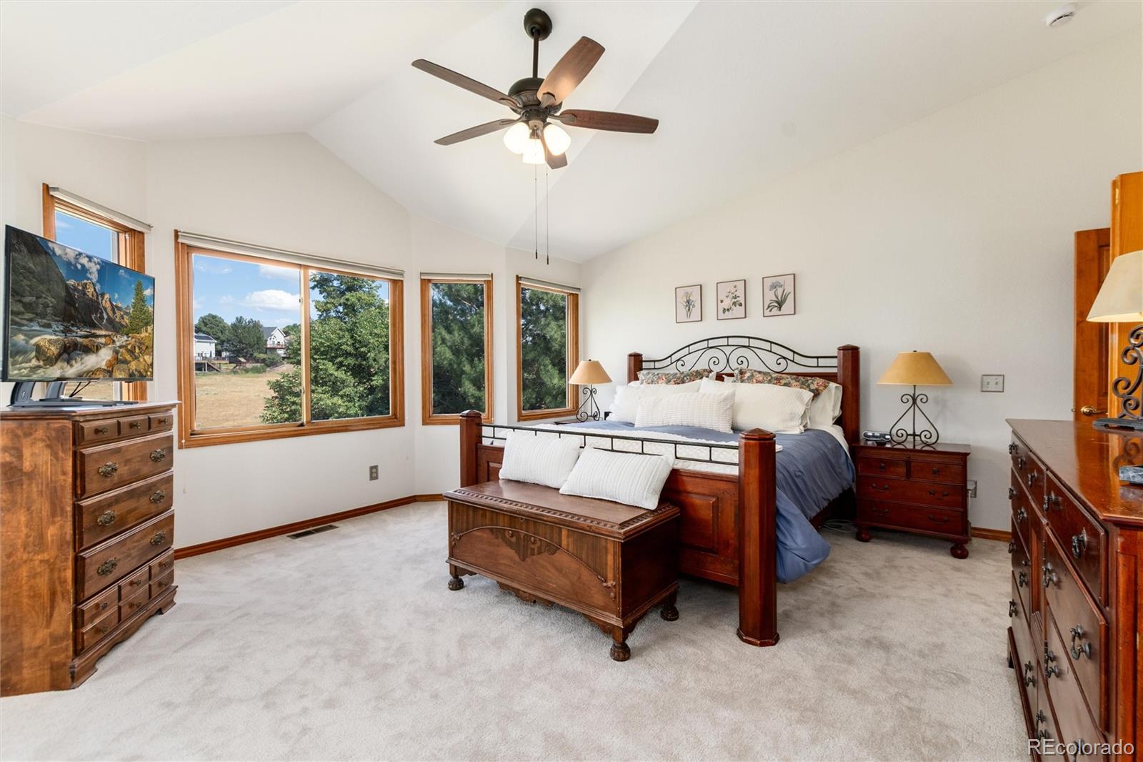 9808 South Isabel Court Highlands Ranch, CO 80126 - Photo 22 of 43