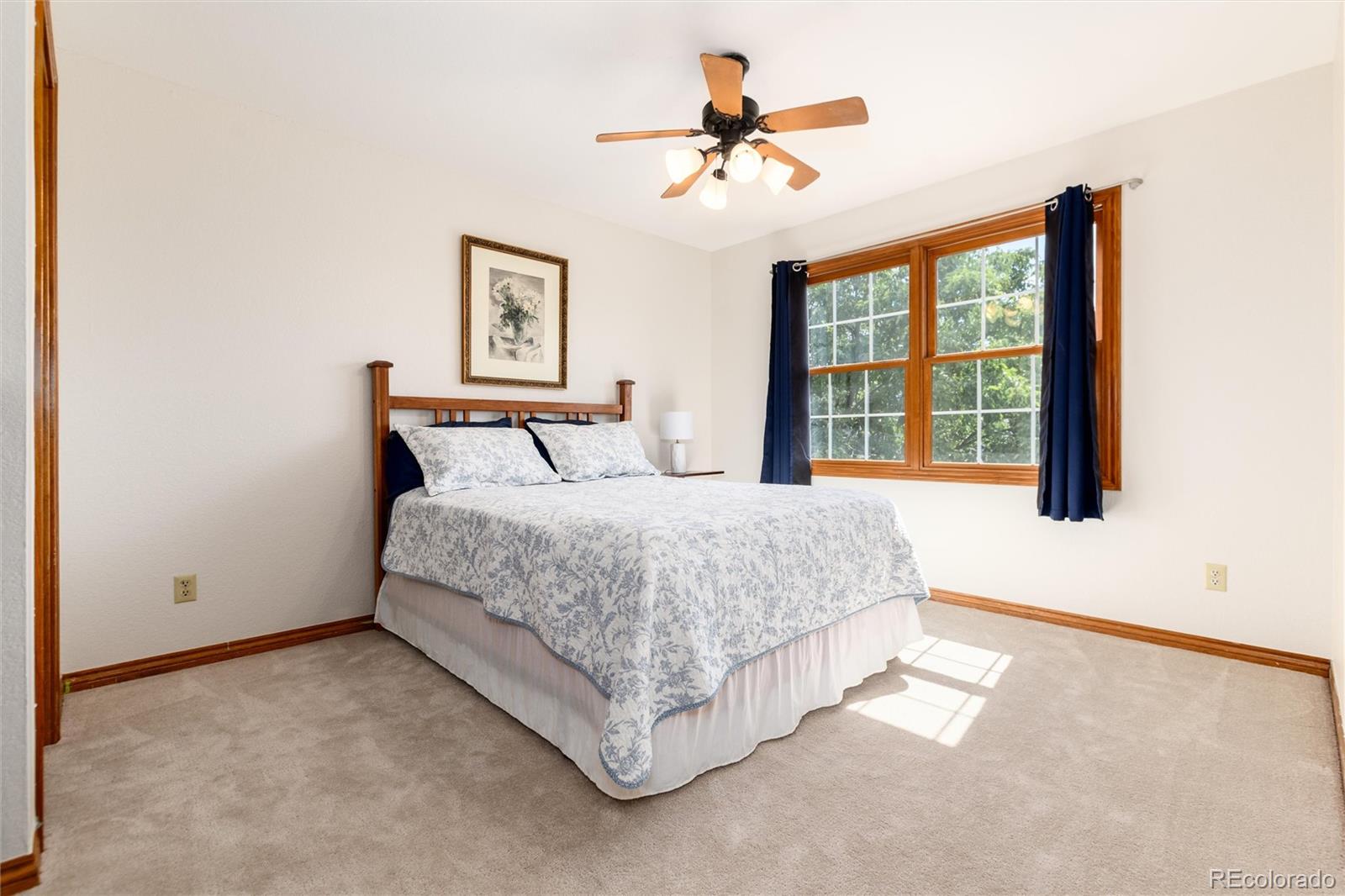 9808 South Isabel Court Highlands Ranch, CO 80126 - Photo 27 of 43