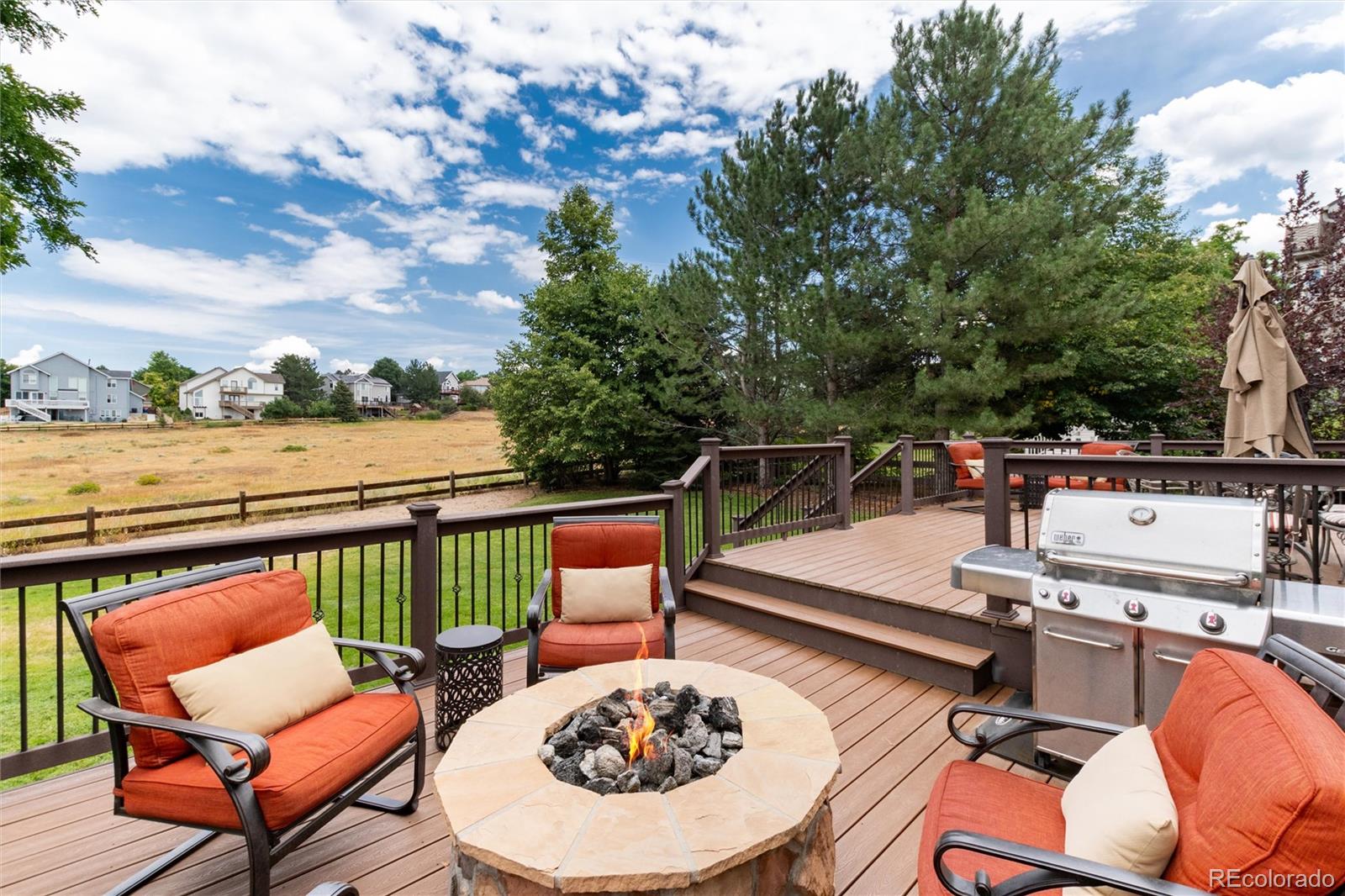 9808 South Isabel Court Highlands Ranch, CO 80126 - Photo 3 of 43