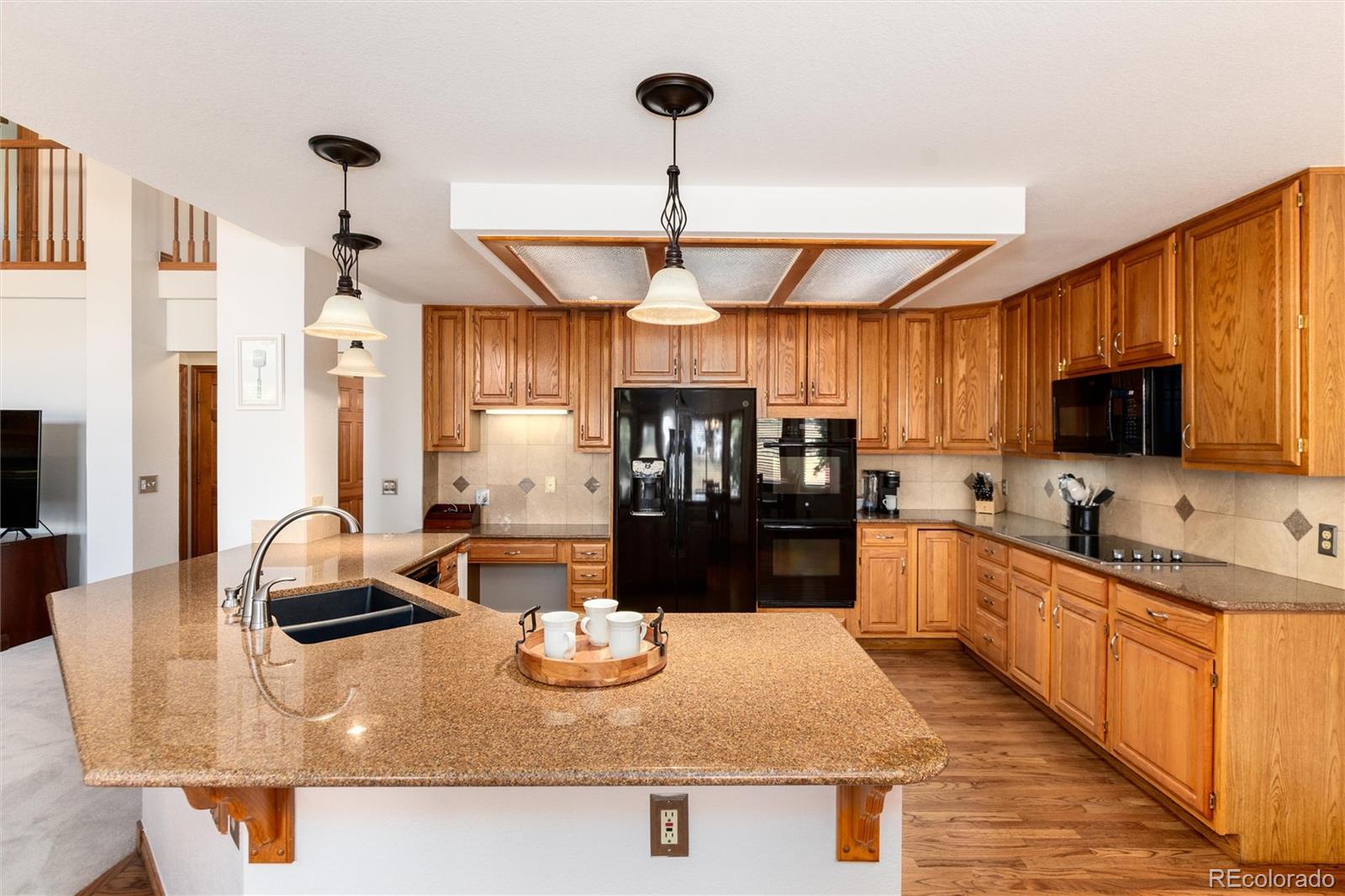 9808 South Isabel Court Highlands Ranch, CO 80126 - Photo 9 of 43