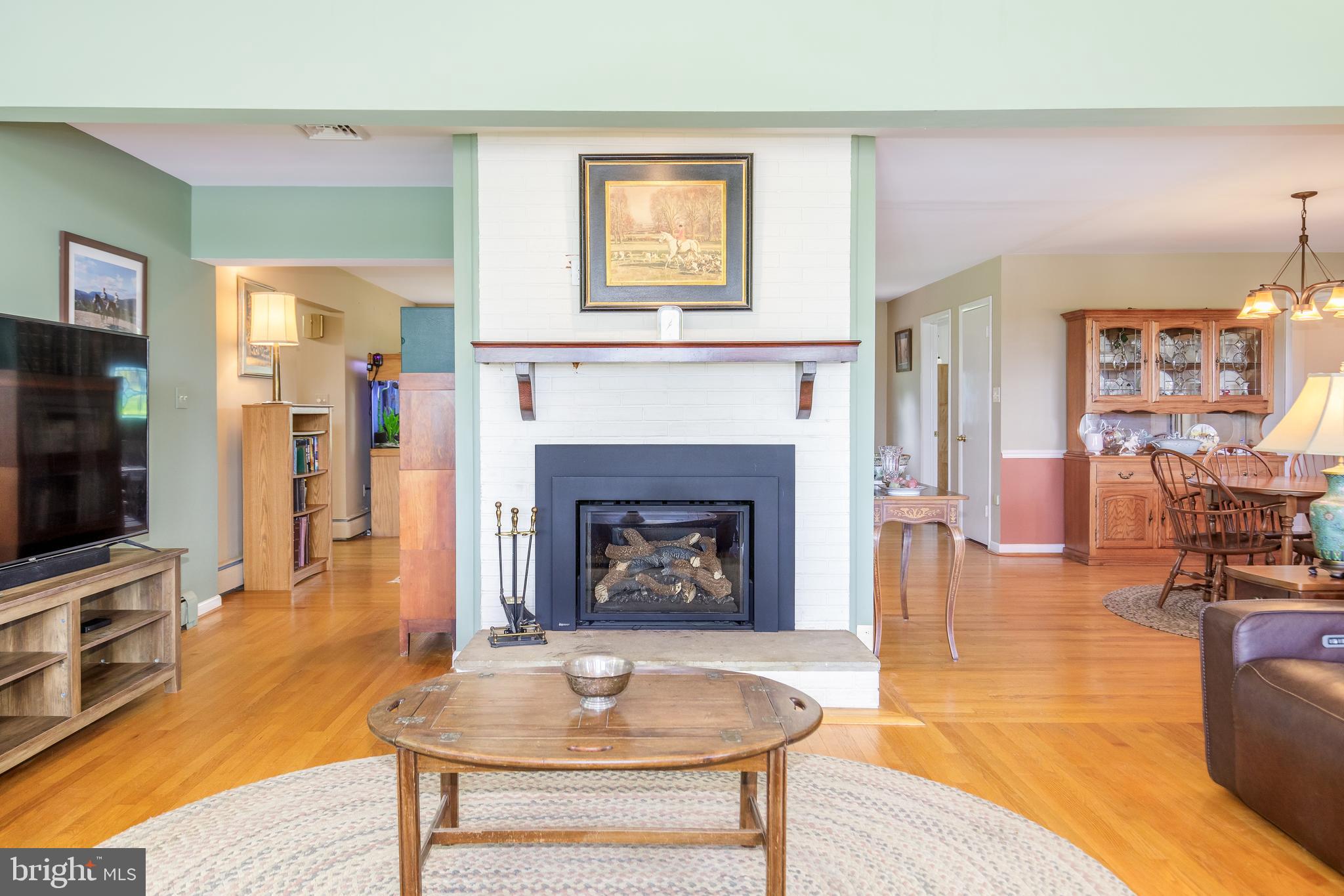 22520 Peach Tree Road Boyds, MD 20841 - Photo 19 of 50 Second of two gas fireplaces