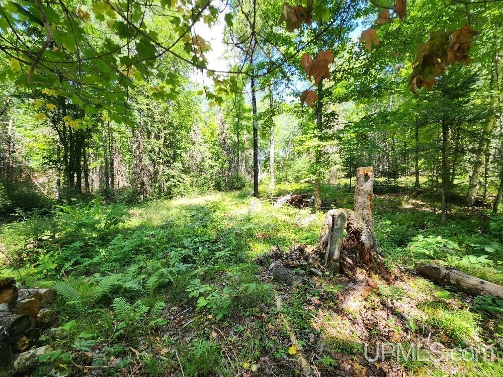 2.63-acres Sheltrow Road, Unit LOT 6PAINT RIVER HIGHLAN Crystal Falls, MI 49920 - Photo 28 of 53 Gallery Image 28