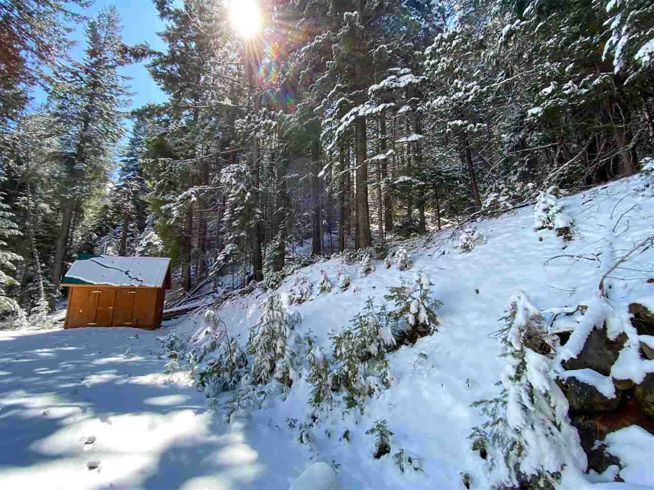 3911 Red Fir Loop Weed, CA 96094 - Photo 16 of 17 Gallery Image 16