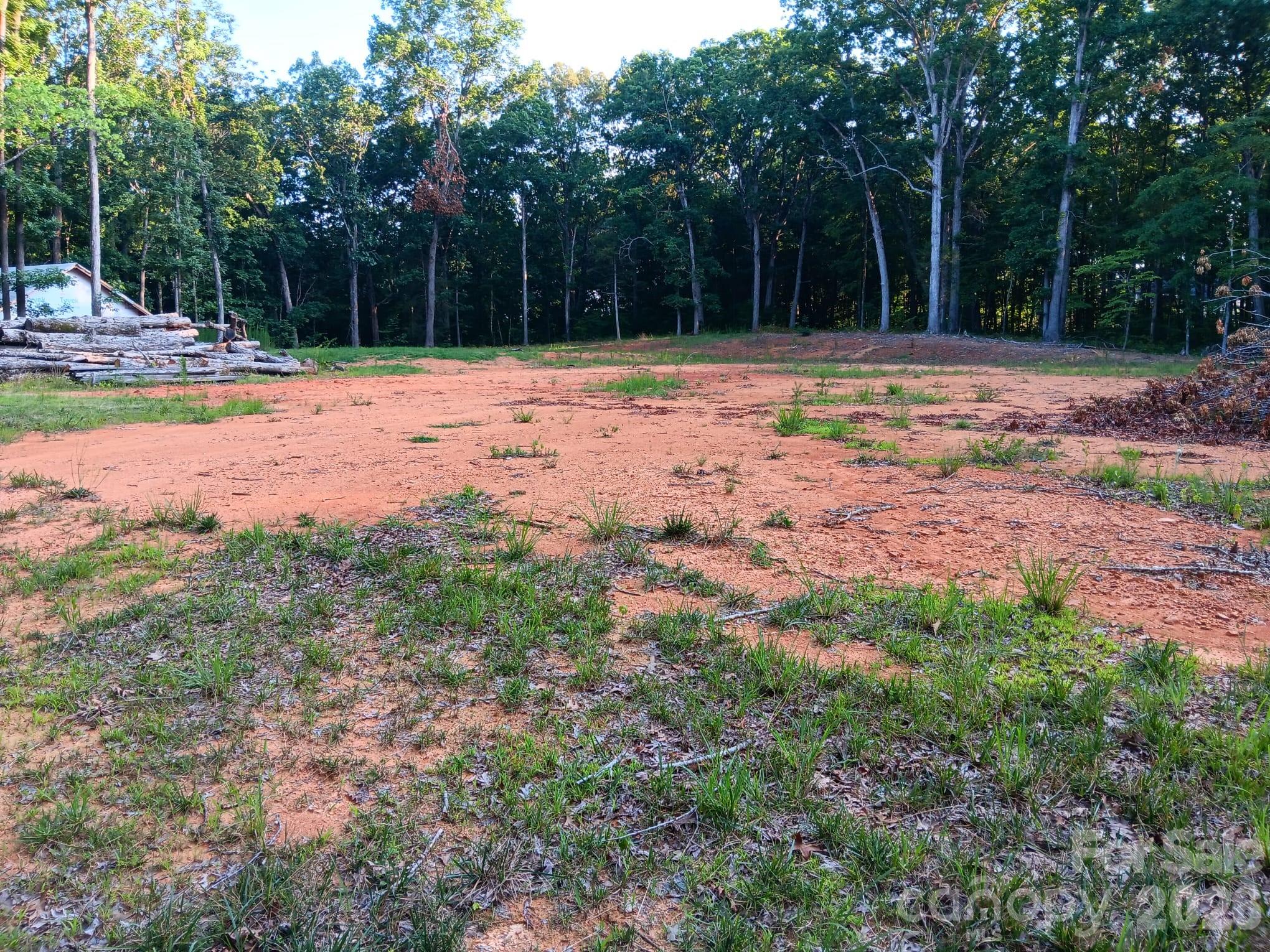 11610 Brief Road, Unit 2 Charlotte, NC 28227 - Photo 4 of 16 a view of a yard with of trees