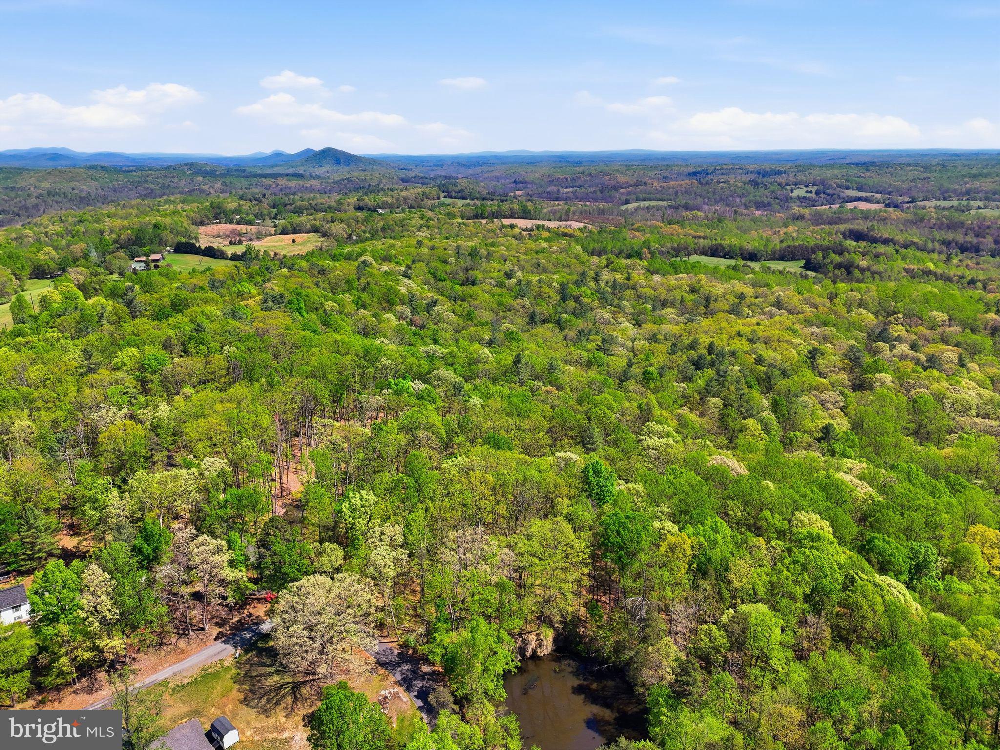 Lot 1 Obannons Mill Road Boston, VA 22713 - Photo 9 of 14 Gallery Image 9