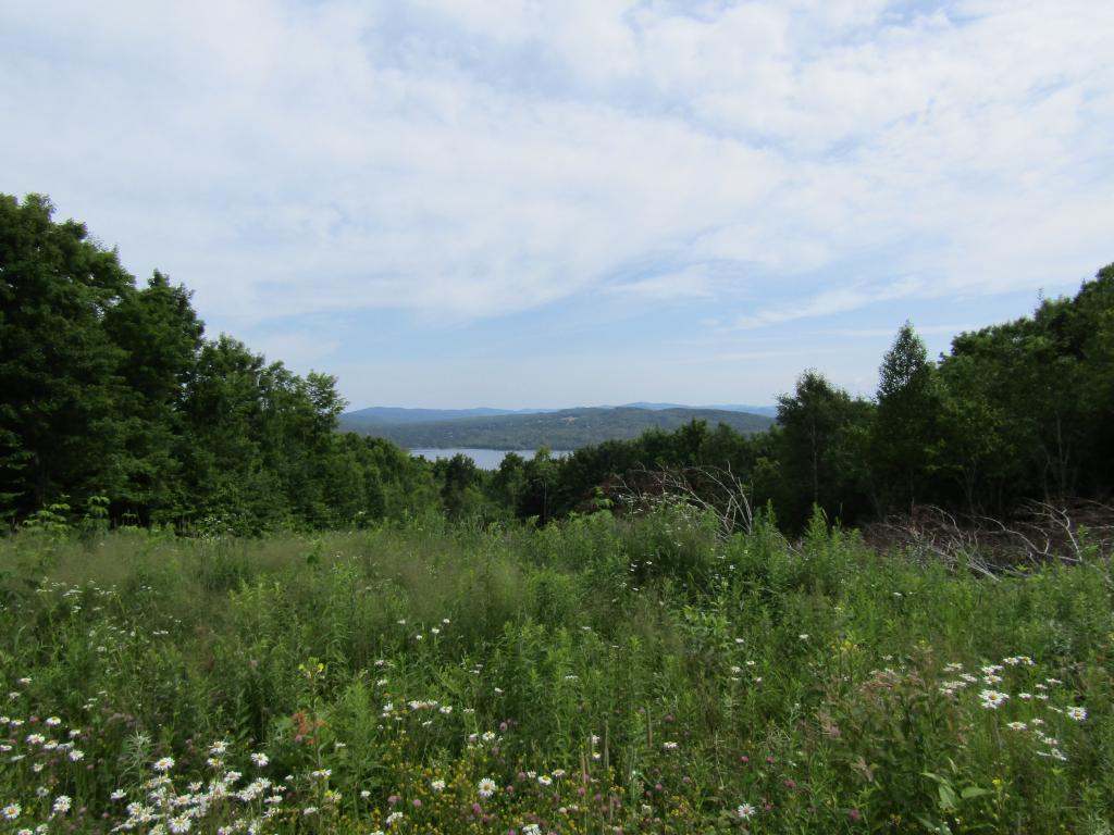 Loop Road Clarksville, NH 03592 - Photo 2 of 10 Gallery Image 2