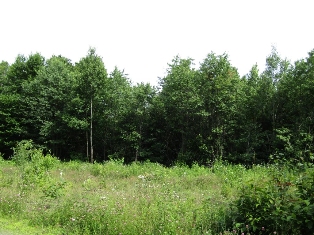 Loop Road Clarksville, NH 03592 - Photo 6 of 10 Gallery Image 6
