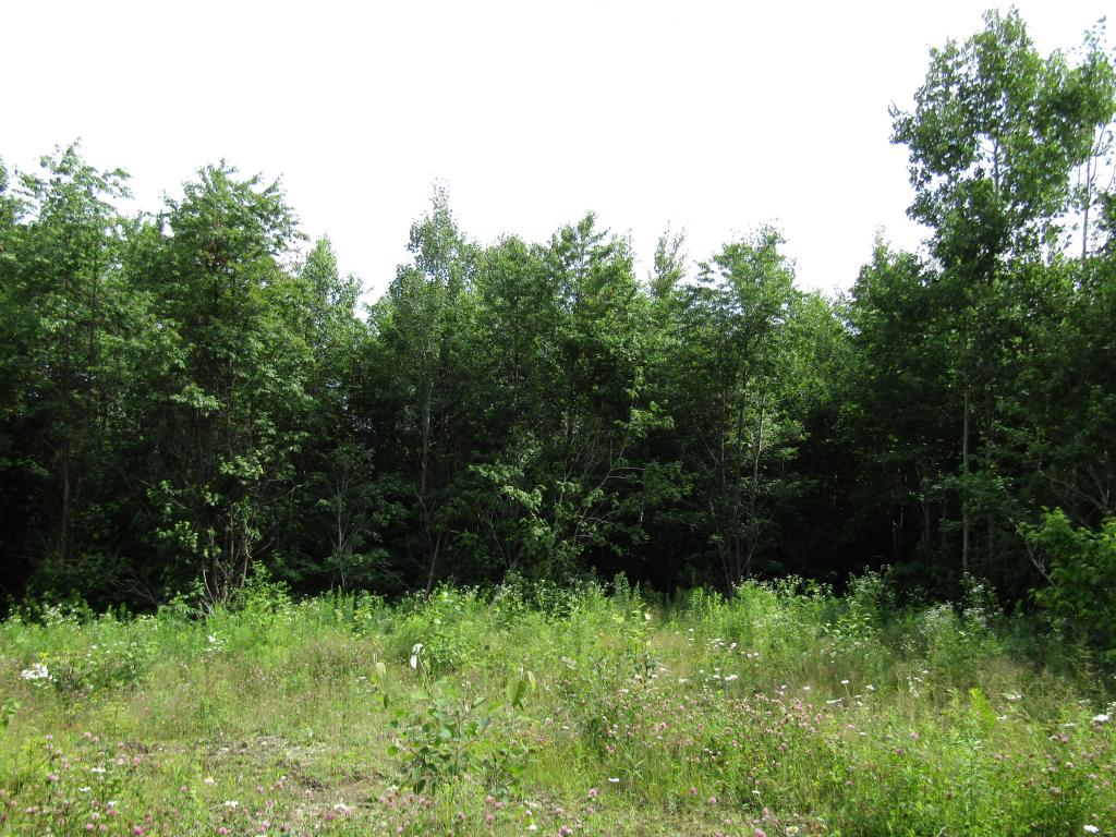 Loop Road Clarksville, NH 03592 - Photo 8 of 10 Gallery Image 8
