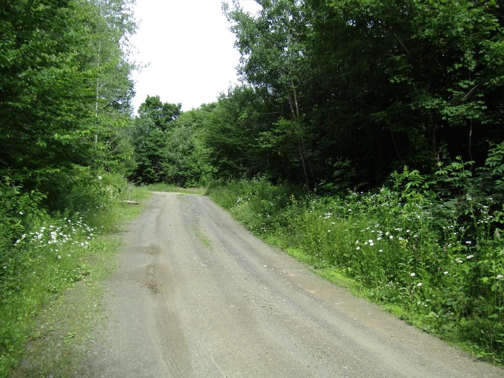 Loop Road Clarksville, NH 03592 - Photo 10 of 10 Gallery Image 10