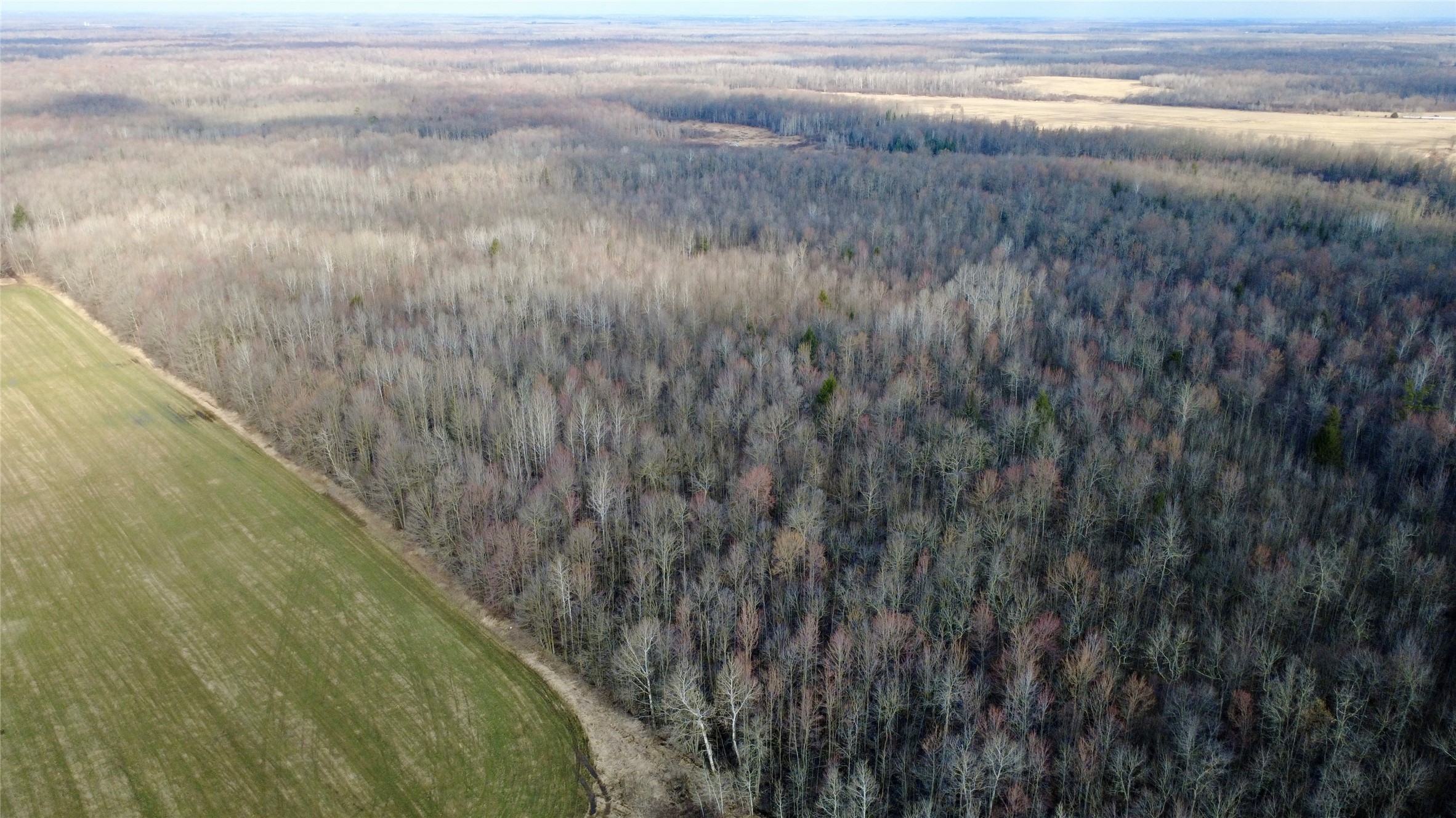 N2615 Highway 73 Sheldon, WI 54766 - Photo 10 of 26