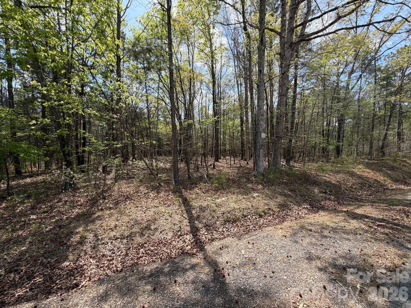 0 Bethlehem Road Blackstock, SC 29014 - Photo 5 of 5 Gallery Image 5