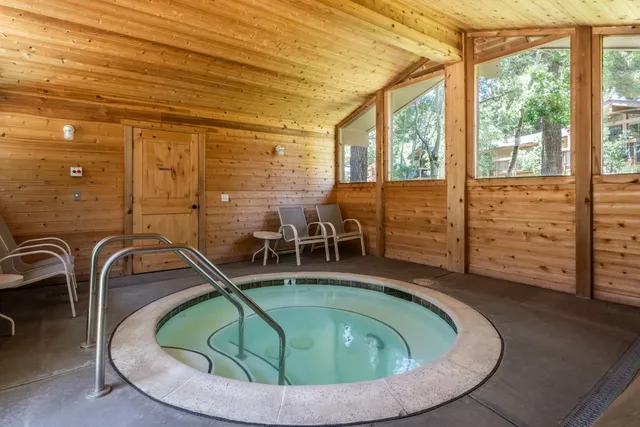 a view of a forest with trees