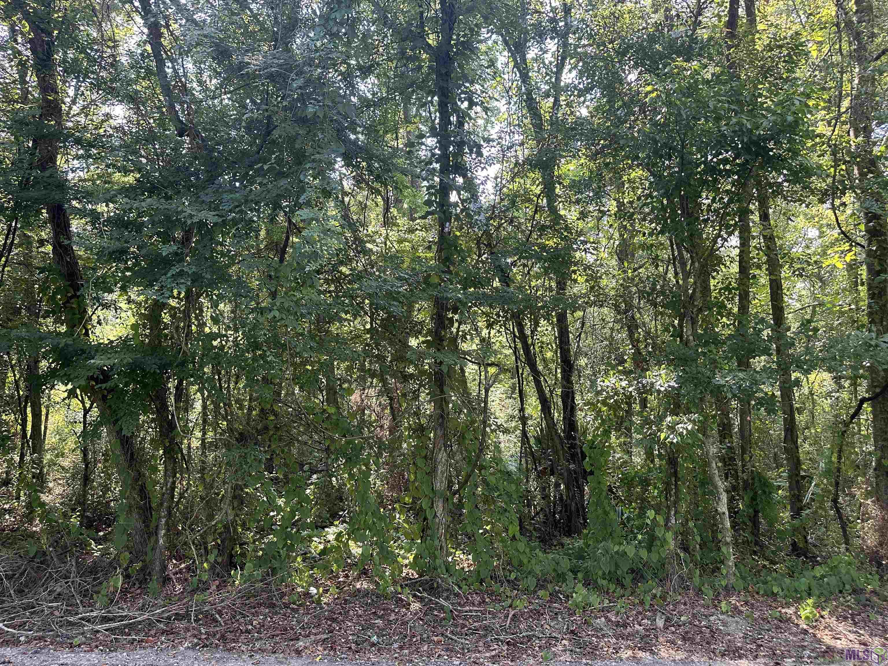 11408 Marrero Road Gonzales, LA 70737 - Photo 8 of 21 Gallery Image 8