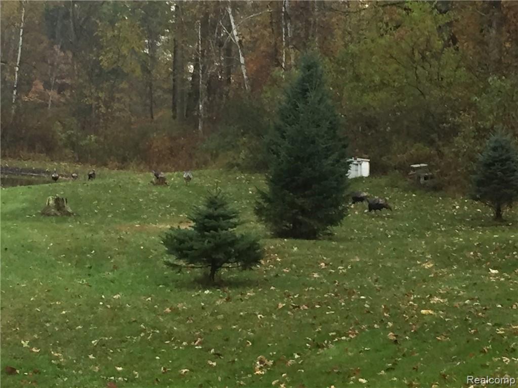 3885 Stanley Road Lapeer, MI 48446 - Photo 25 of 41 IMG_1423.JPG