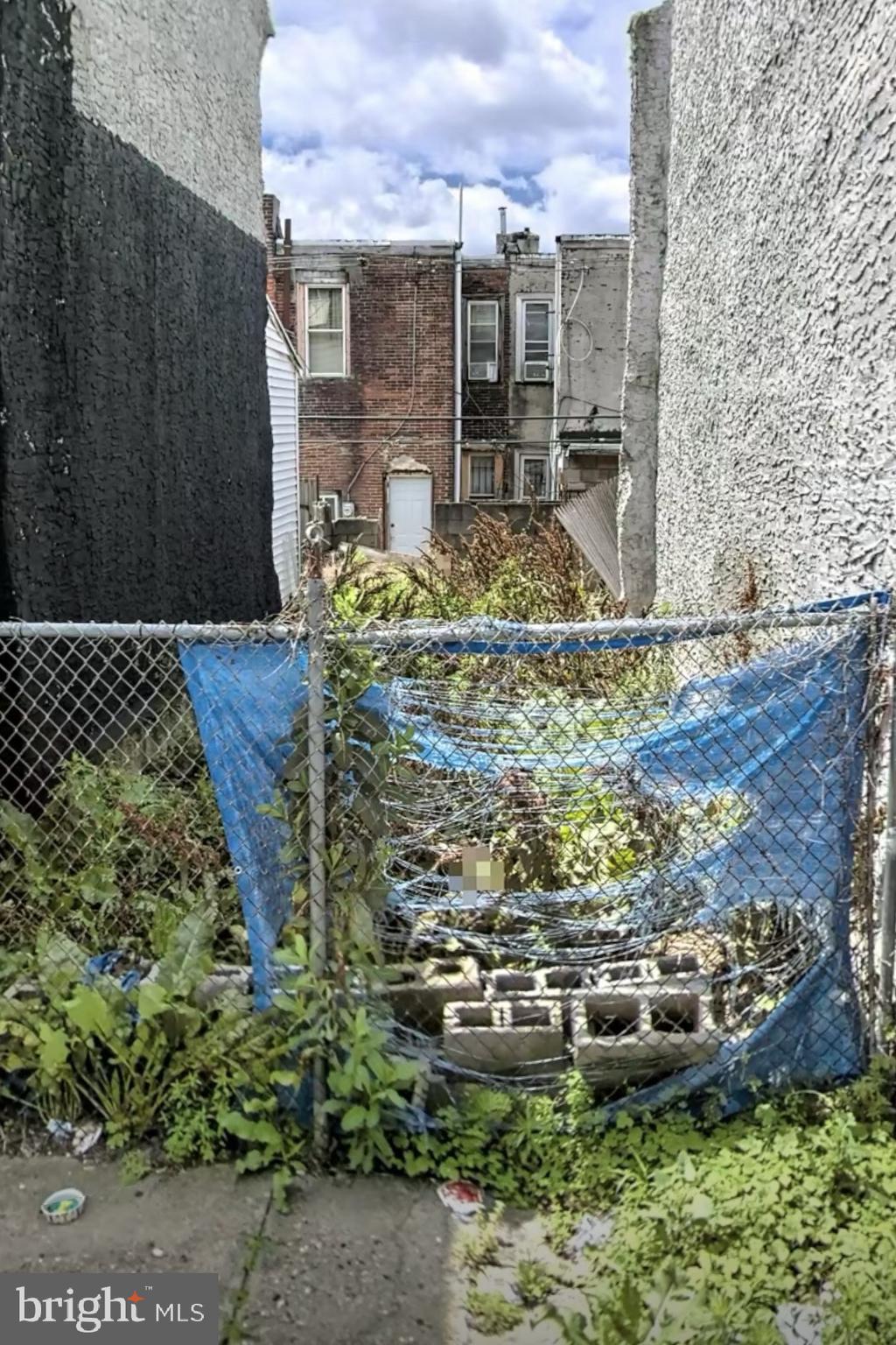 a view of a backyard with plants